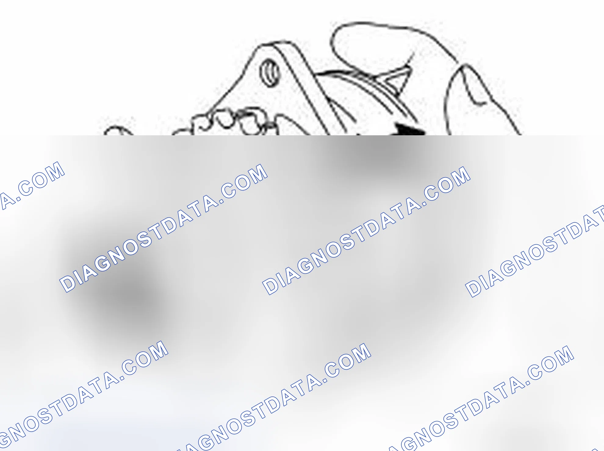 Scheme 12: INSPECTION AFTER REMOVAL