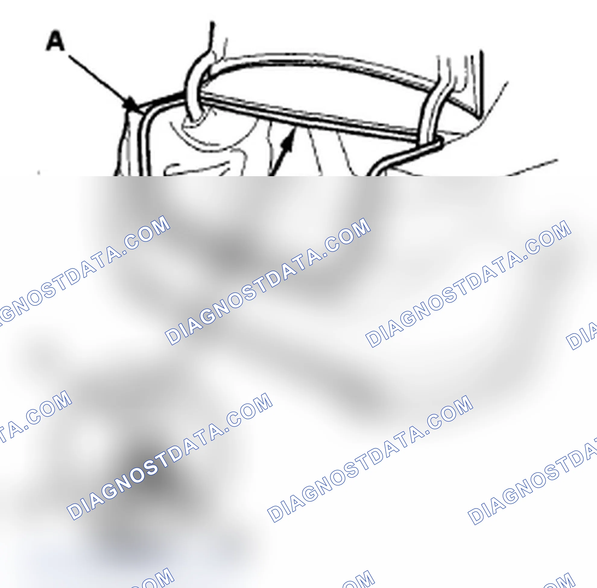 Scheme 156: Trunk Lid Weatherstrip Replacement