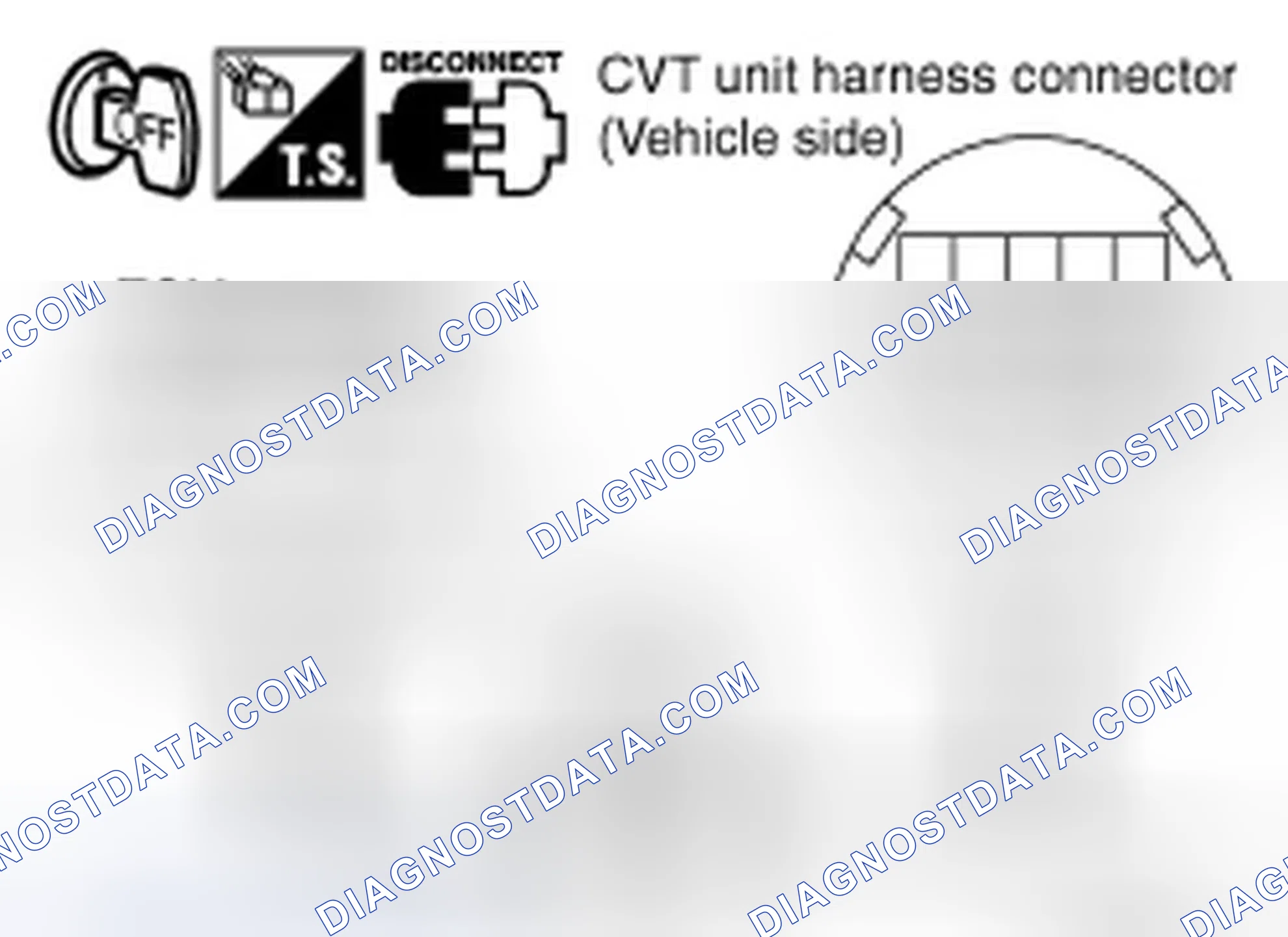 Scheme 166: Diagnostic Procedure