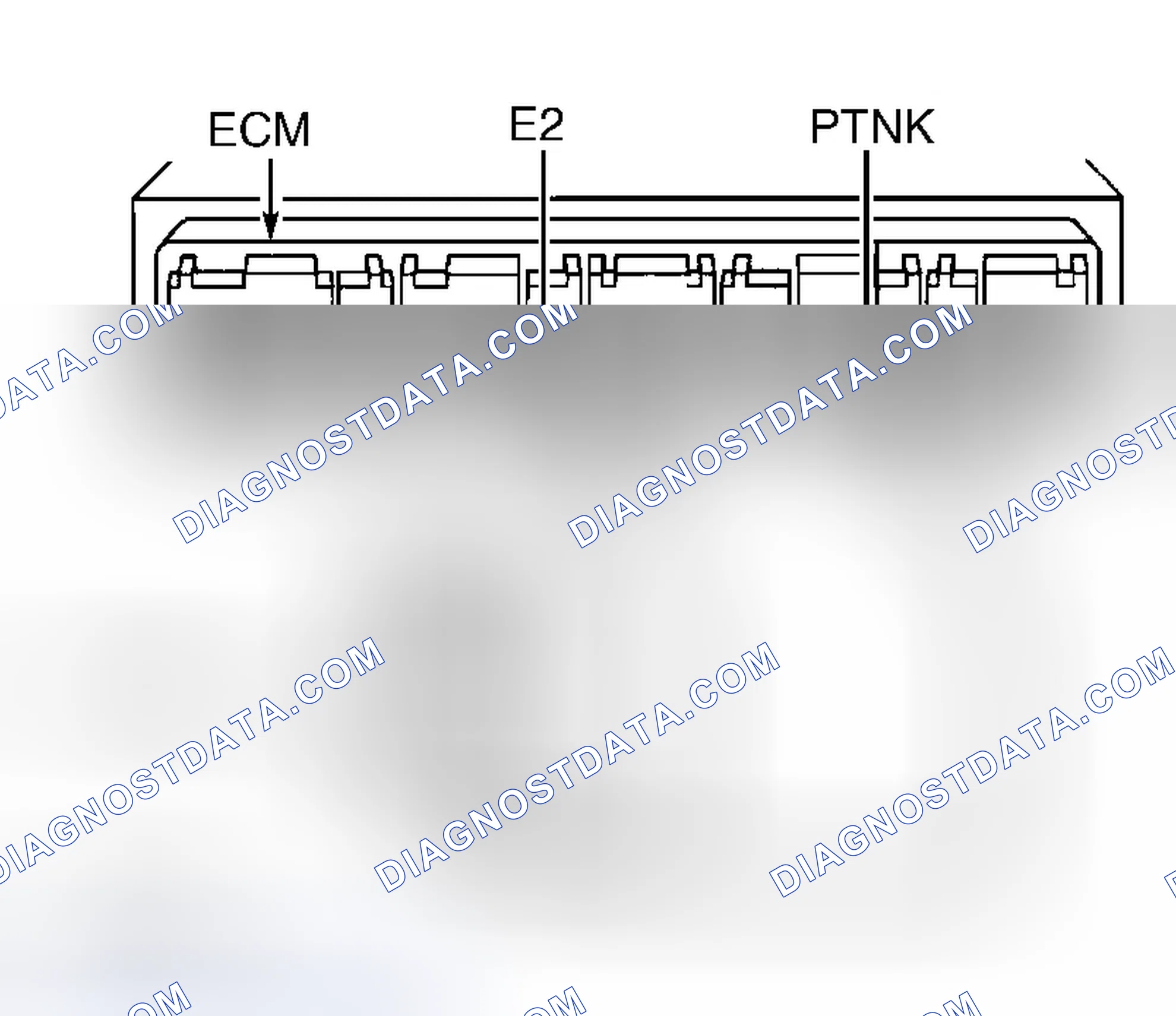 Scheme 206