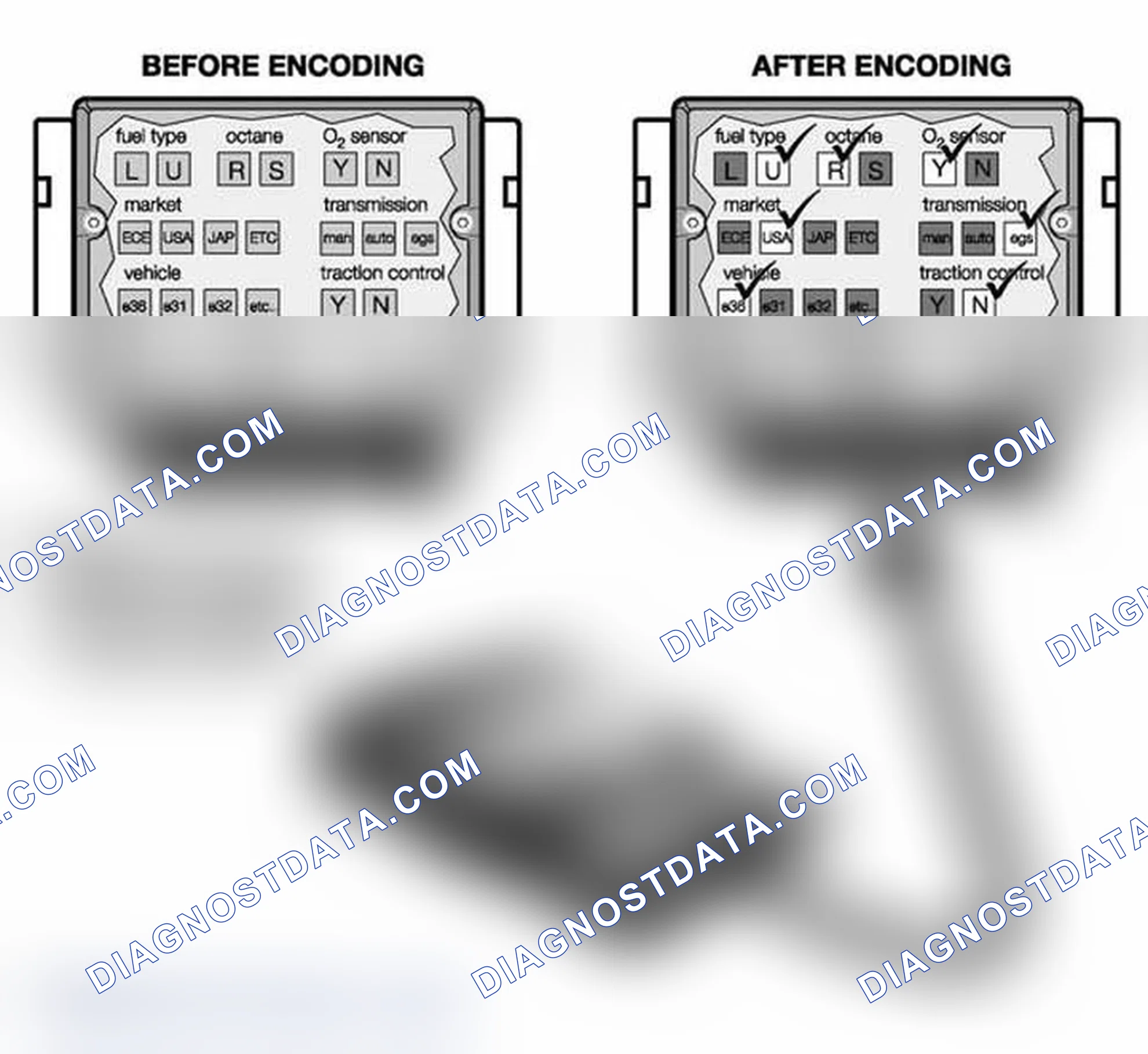 Scheme 384: Coding
