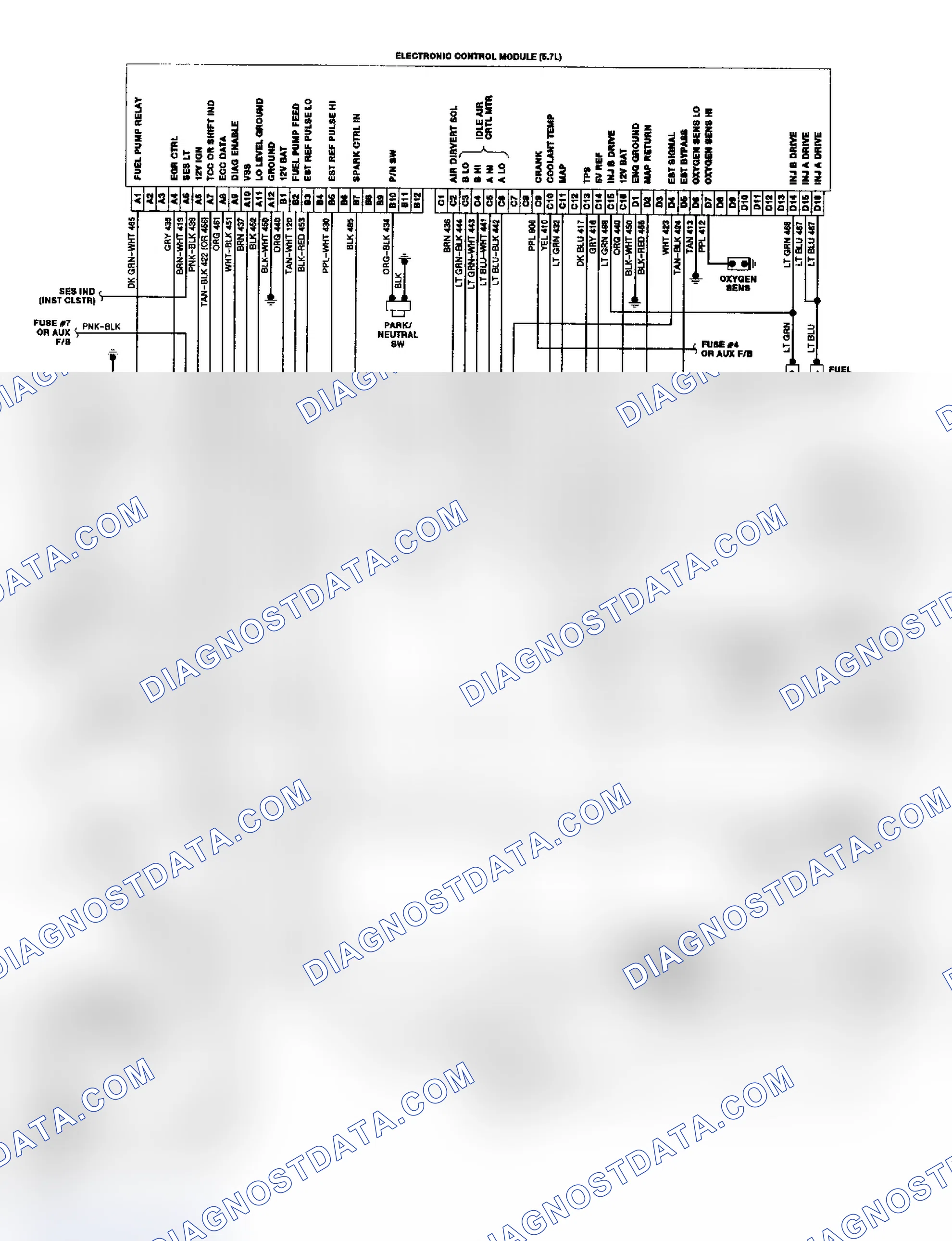 Scheme 19: "P" Series TBI/CCC Wiring Diagram