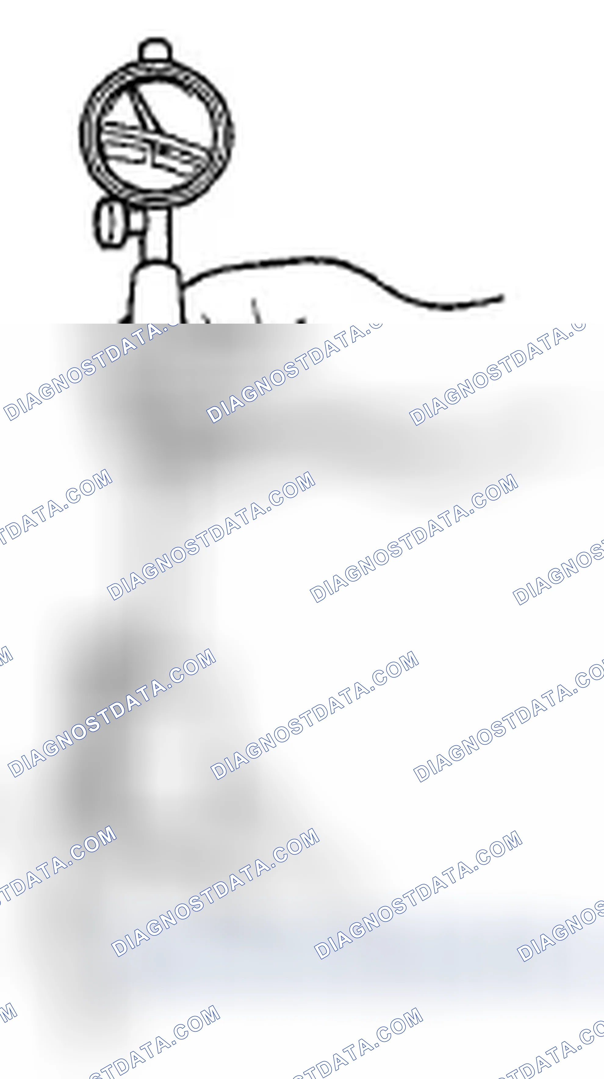 Scheme 315