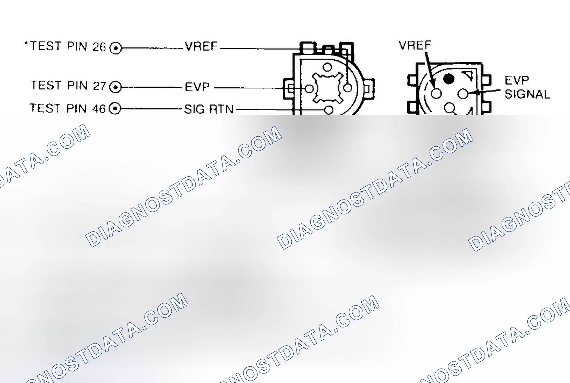 Scheme 7: EVP Sensor & EVR Solenoid Connector Terminals