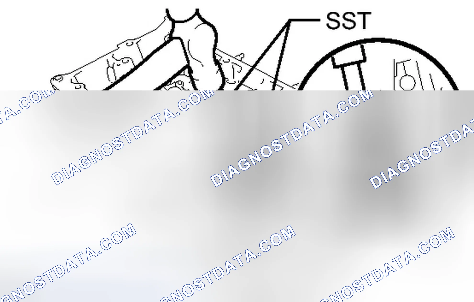 Scheme 348