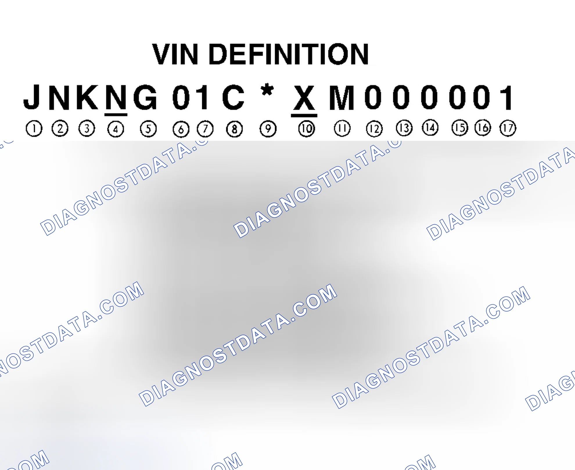 Scheme 4: VIN Definition