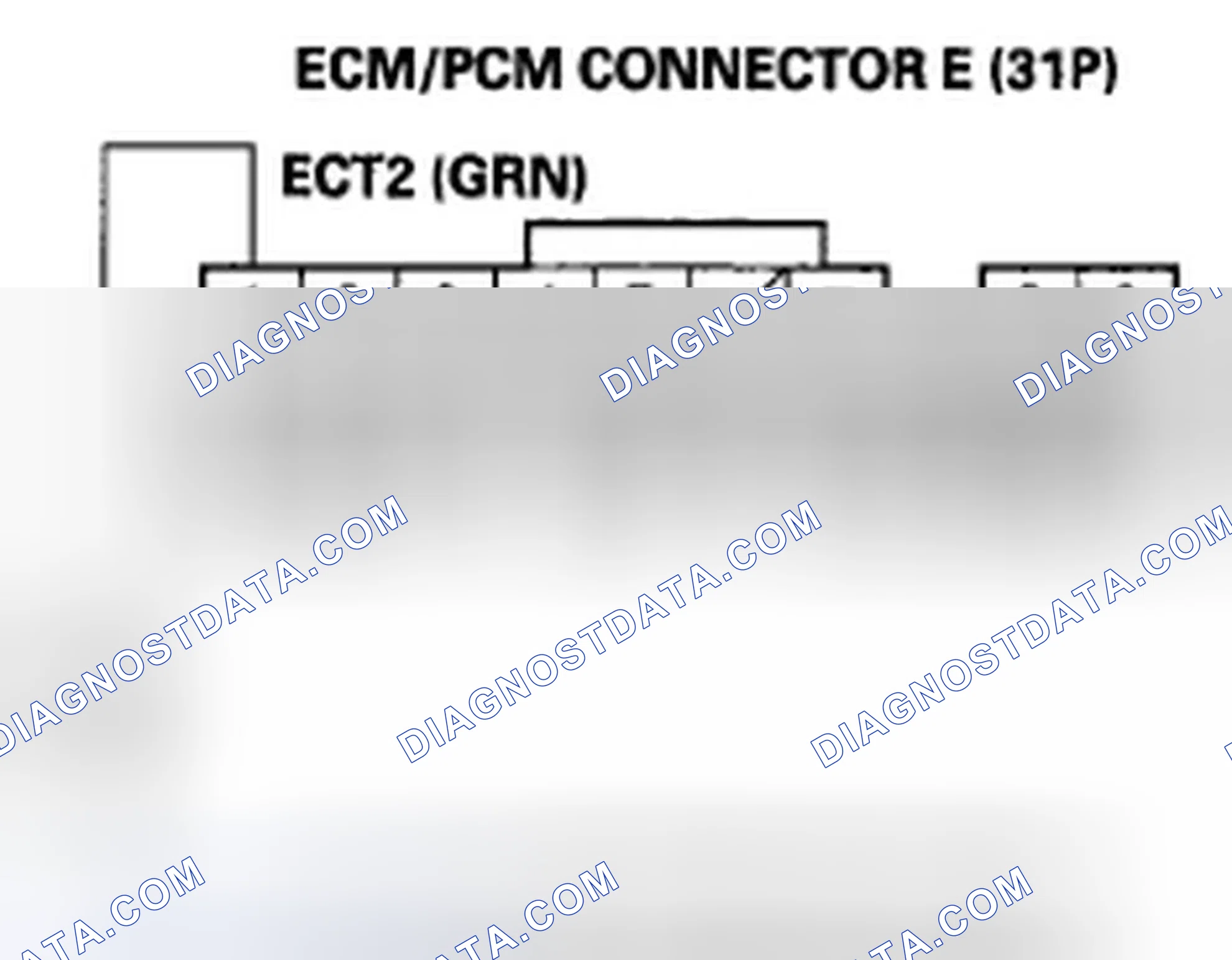 Scheme 499