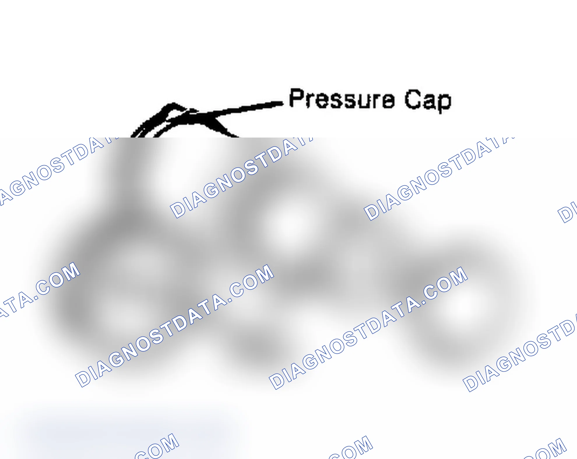 Scheme 2: Testing Radiator Pressure Cap Wet cap gasket before testing.