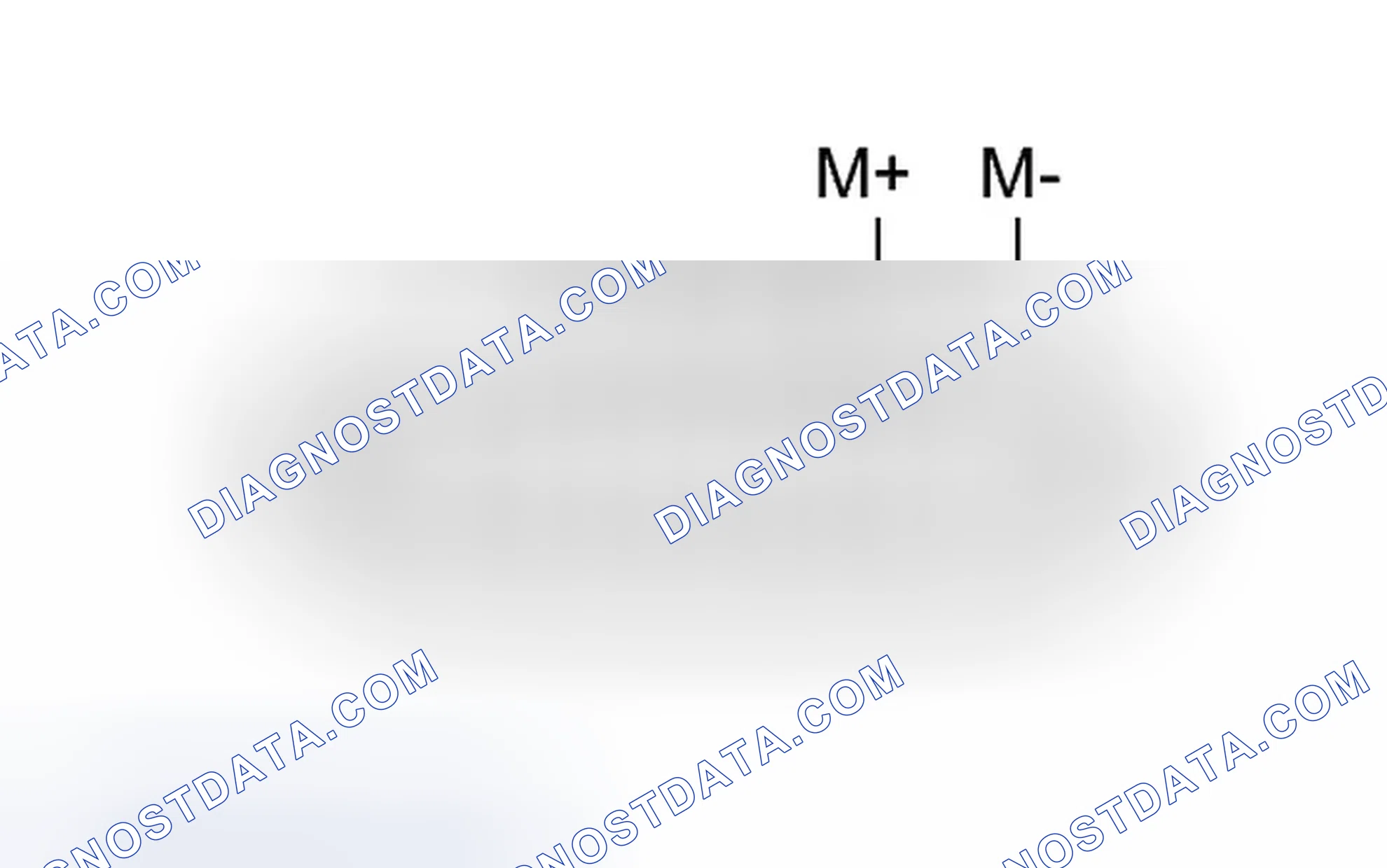 Scheme 538: INSPECTION