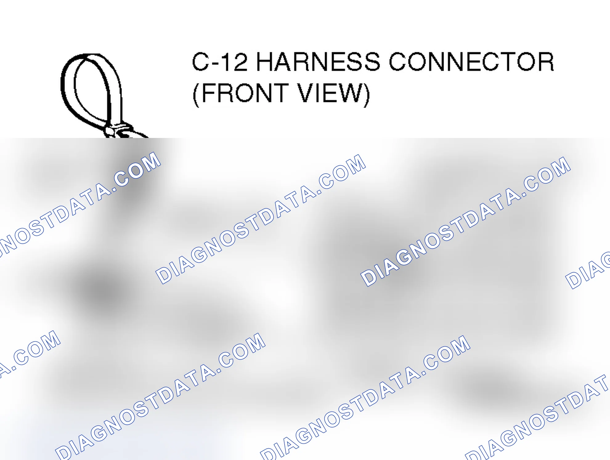Scheme 386