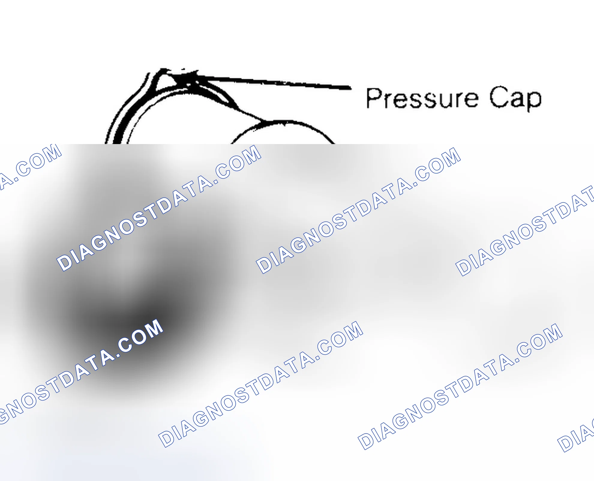 Scheme 2: Pressure Testing Radiator Cap