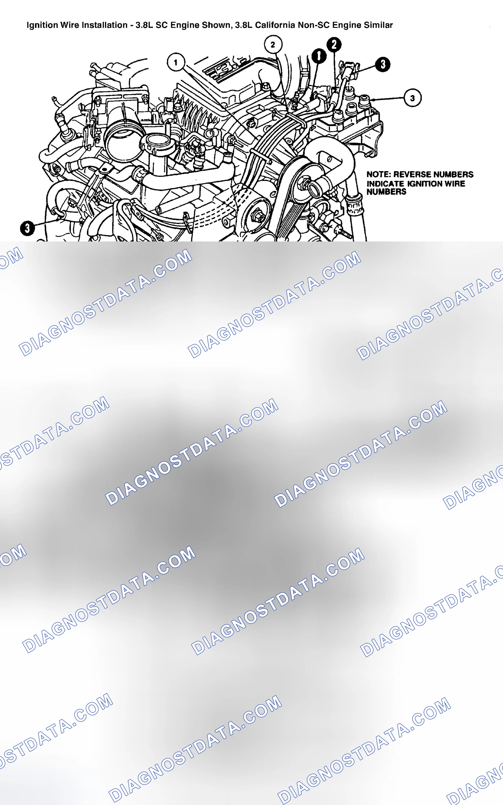 Scheme 15: Spark Plug Wire Routing (3.8L - Thunderbird Supercharged)