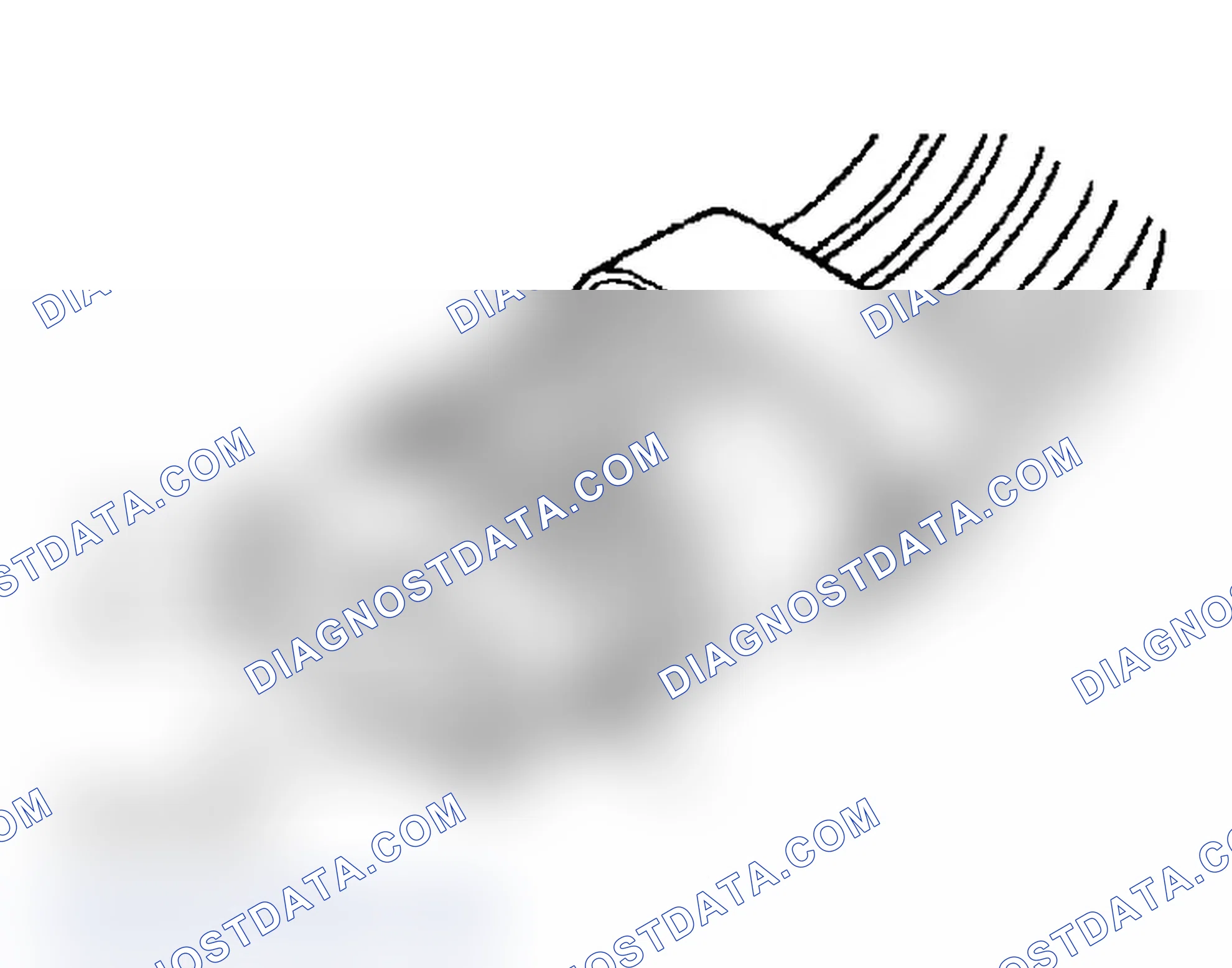 Scheme 22: TRANSMISSION RANGE SENSOR CONNECTOR TERMINAL IDENTIFICATION (4-SPEED A/T)