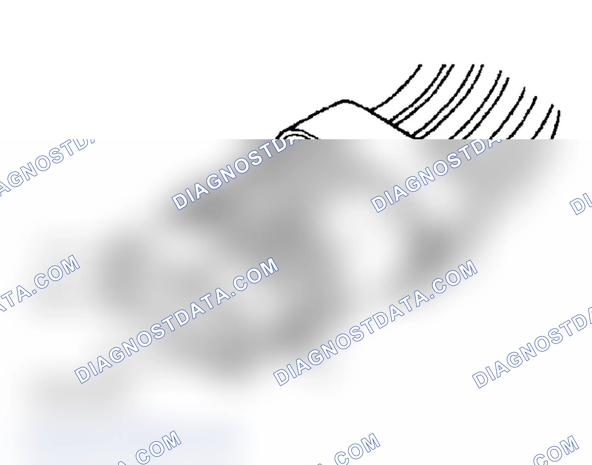 Scheme 133: TRANSMISSION RANGE SENSOR CONNECTOR TERMINAL IDENTIFICATION (4-SPEED A/T)