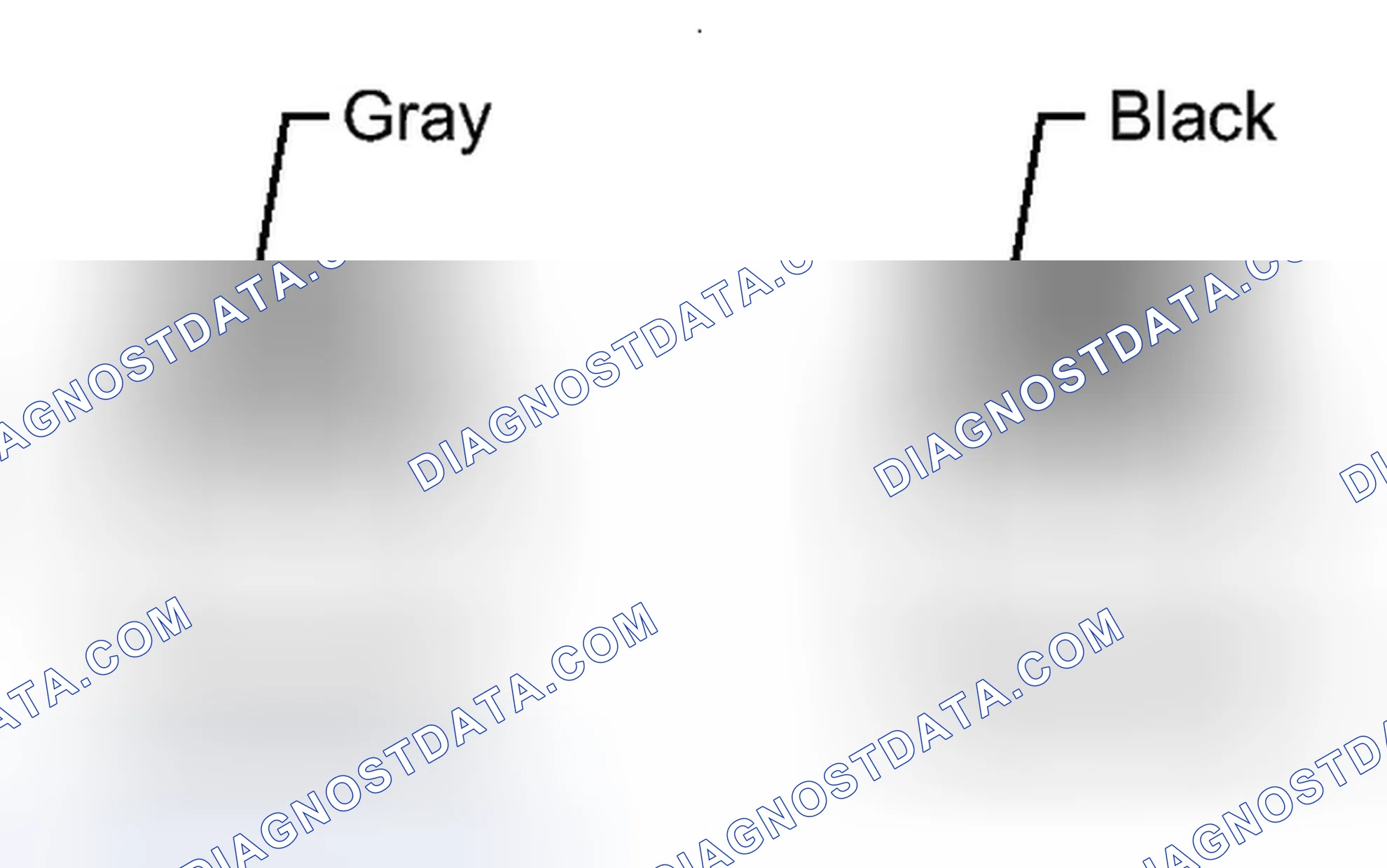 Scheme 339