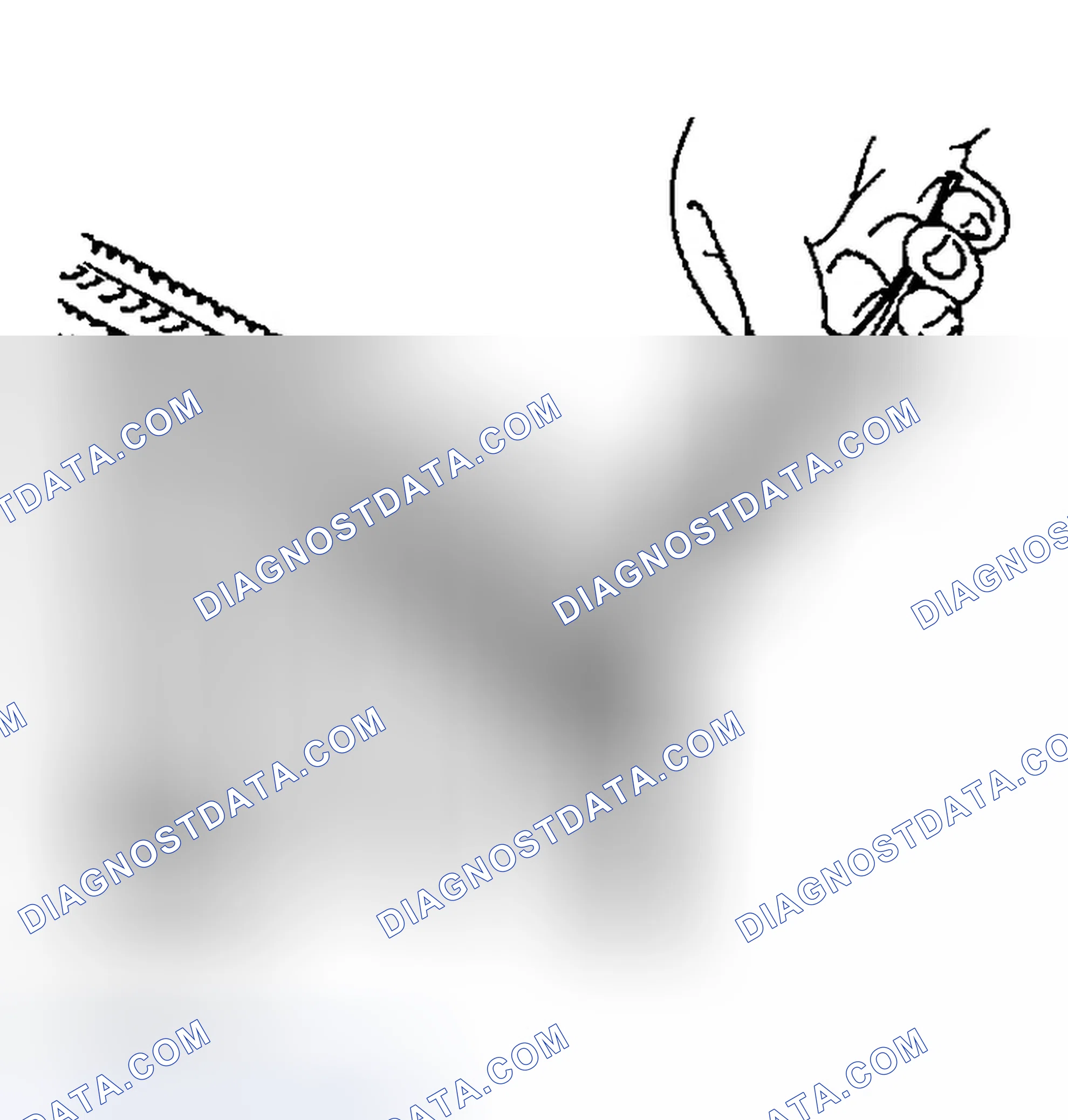 Scheme 7