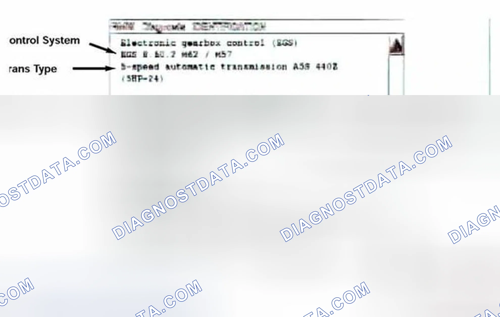Scheme 459: Identification Page