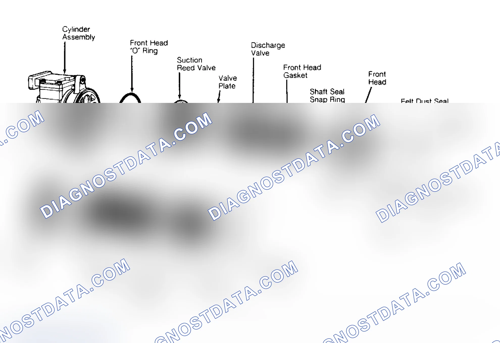 Scheme 13: Exploded View of Nippondenso 10PA17A 10-Cyl. Compressor