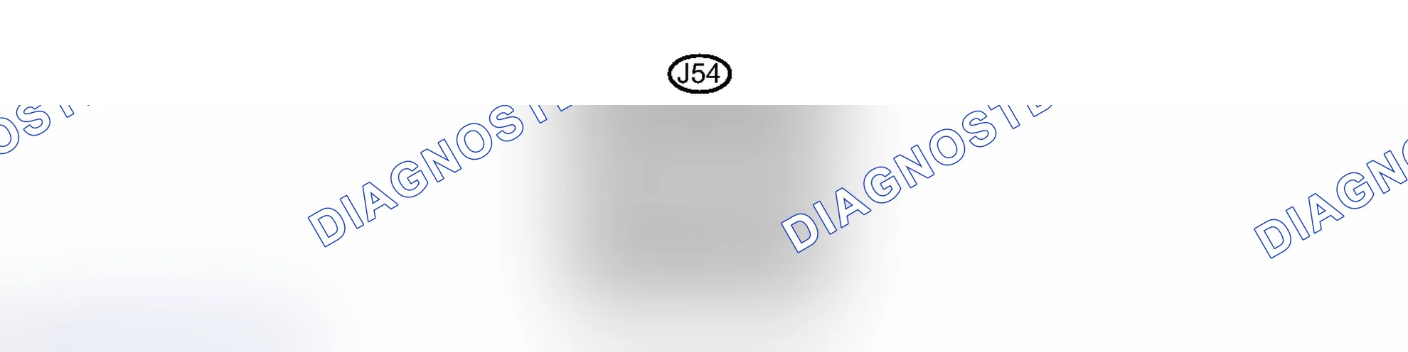 Scheme 54