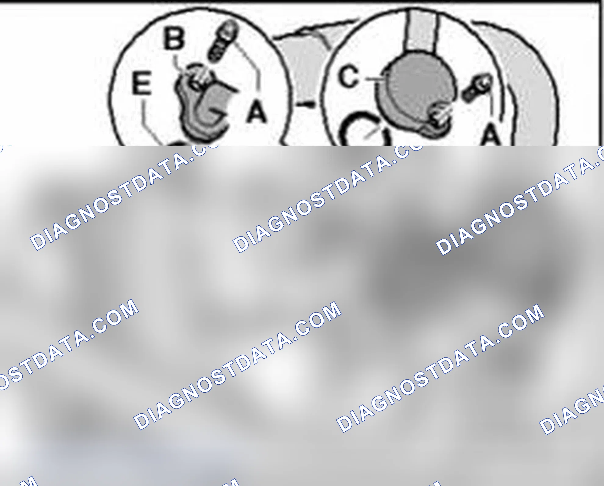 Scheme 111