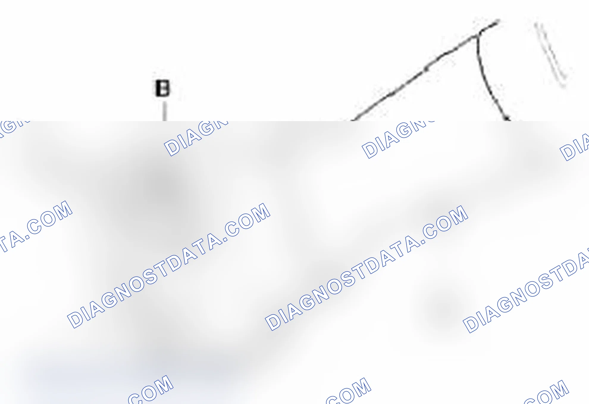 Scheme 5