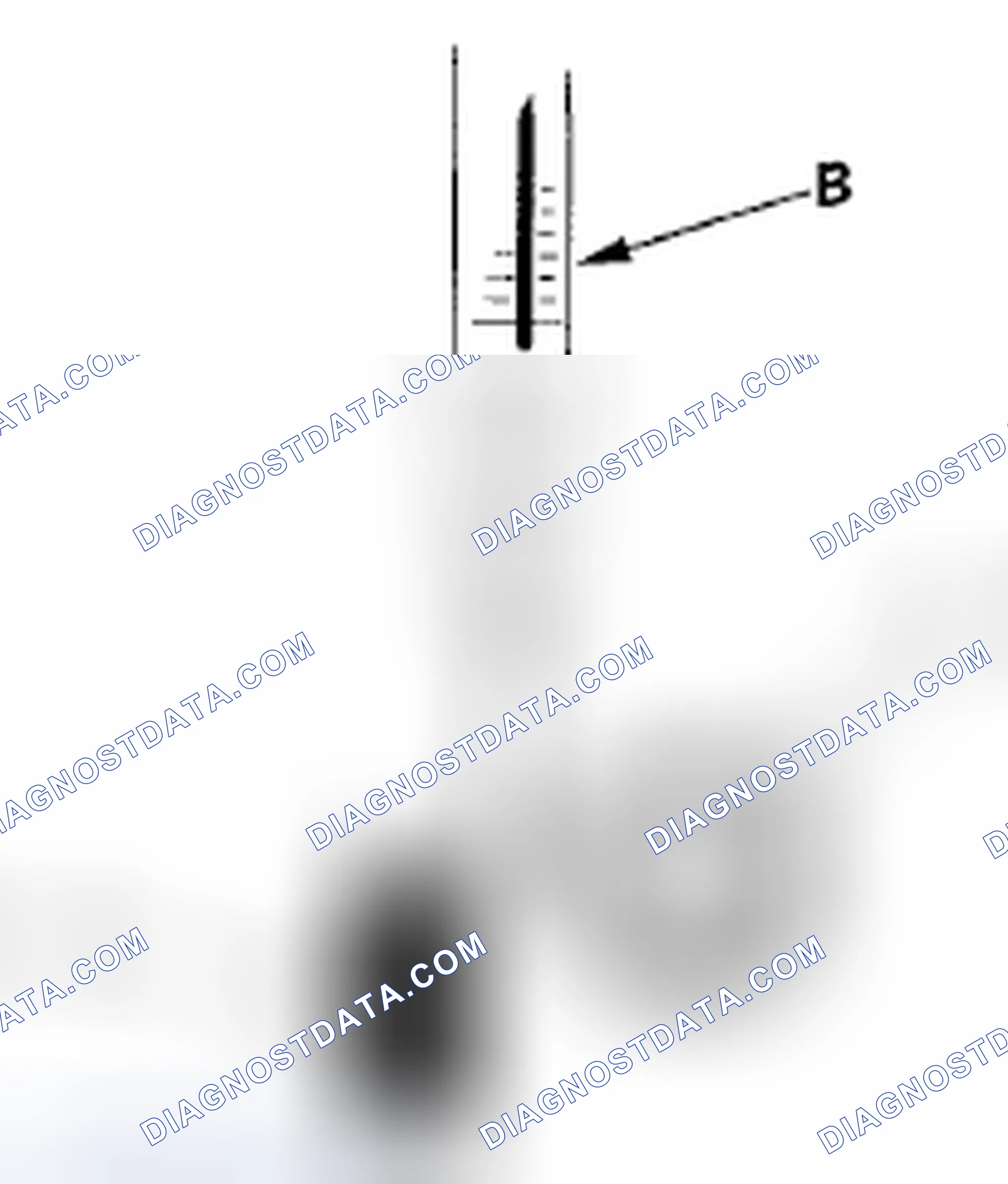 Scheme 31