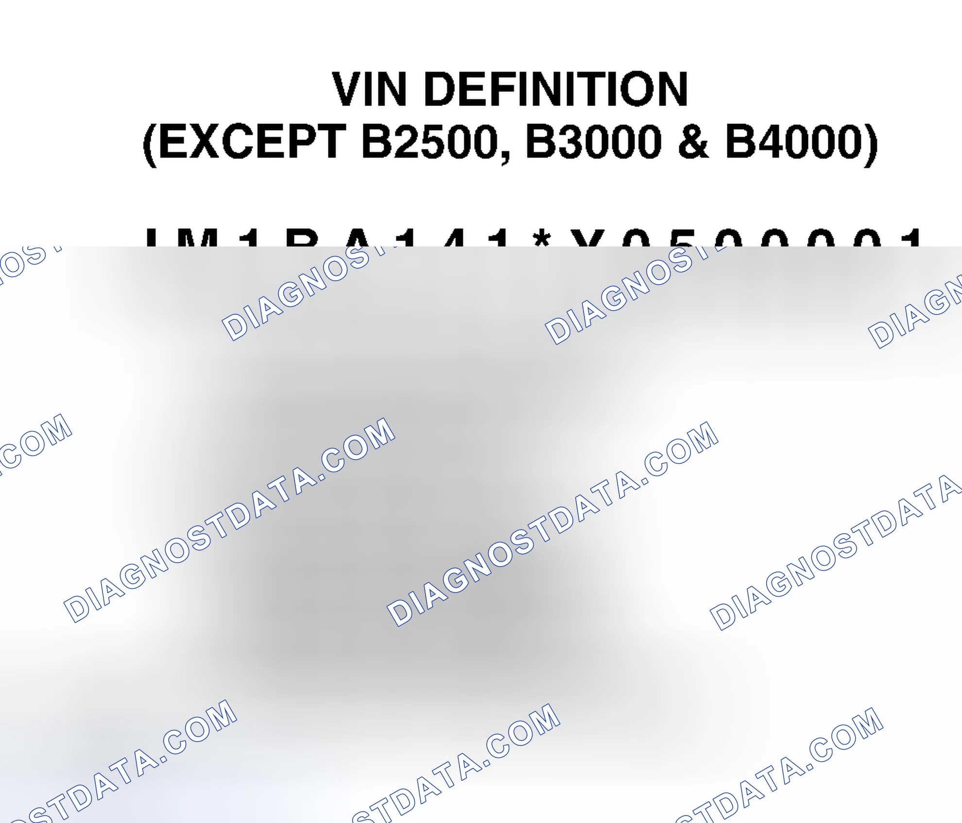 Scheme 1: VIN Definition (Except B2500, B3000 & B4000)