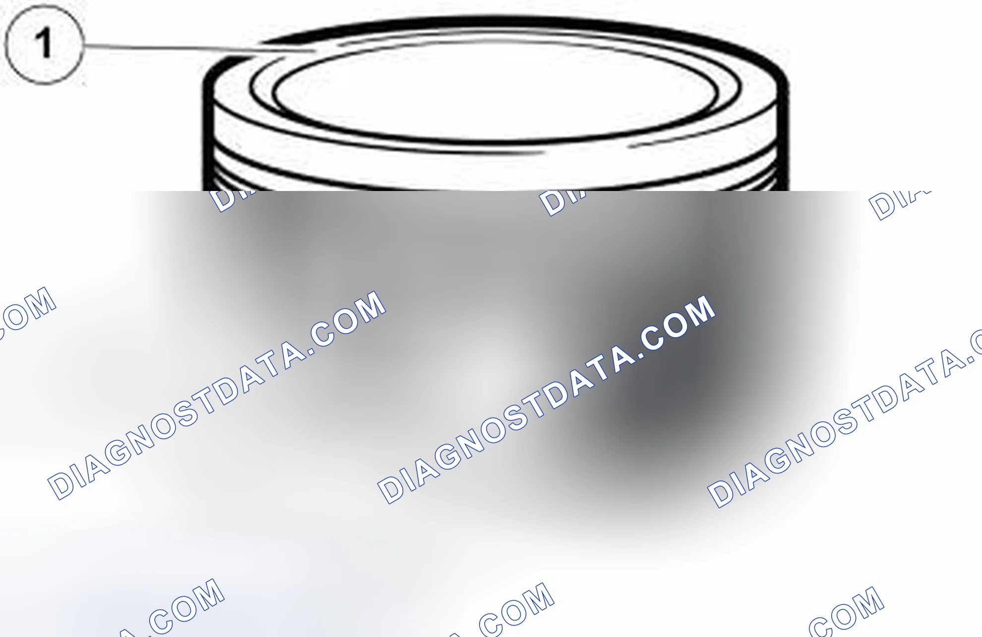Scheme 495: PISTONS