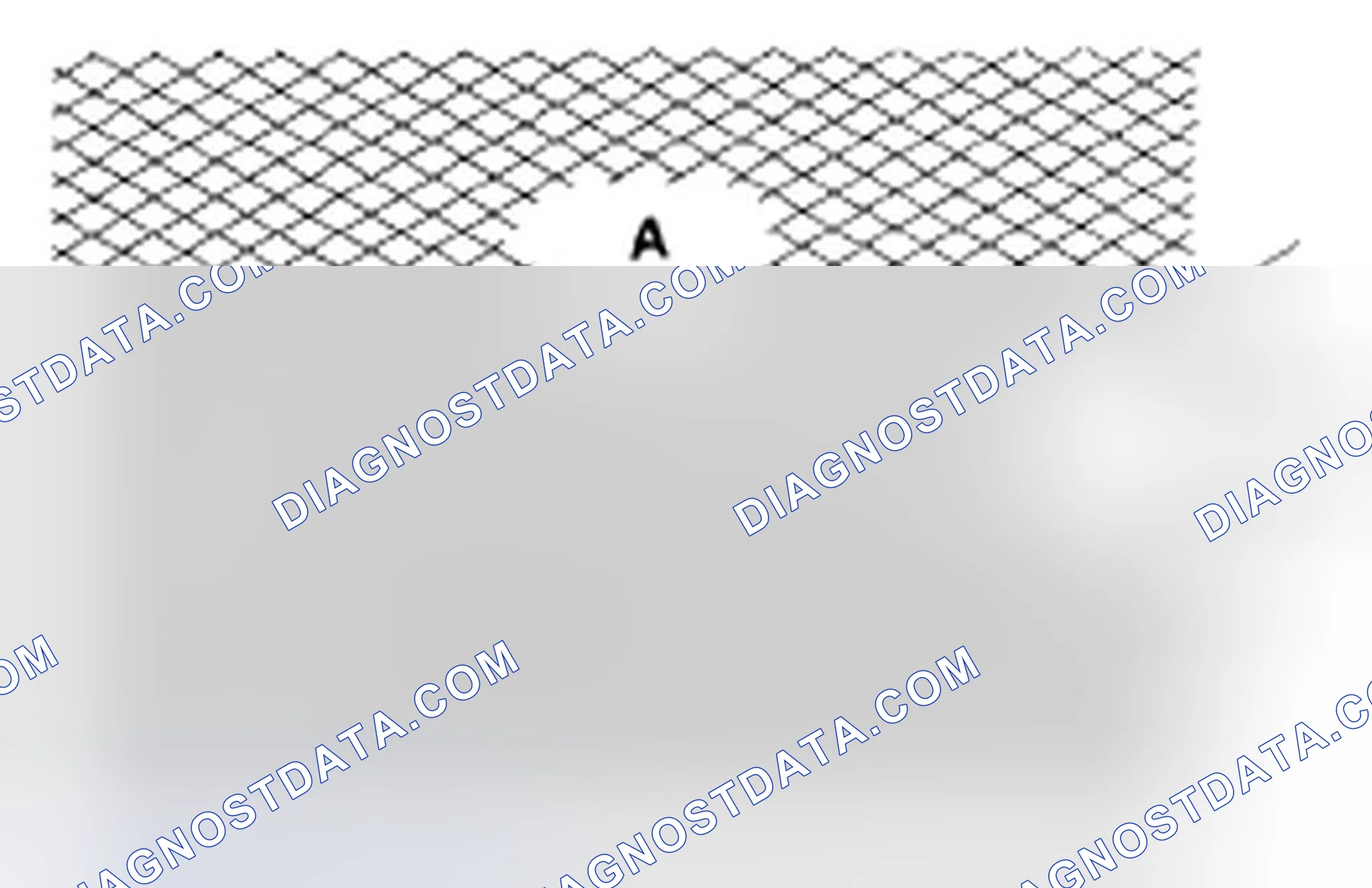 Scheme 439: Cylinder Bore Honing