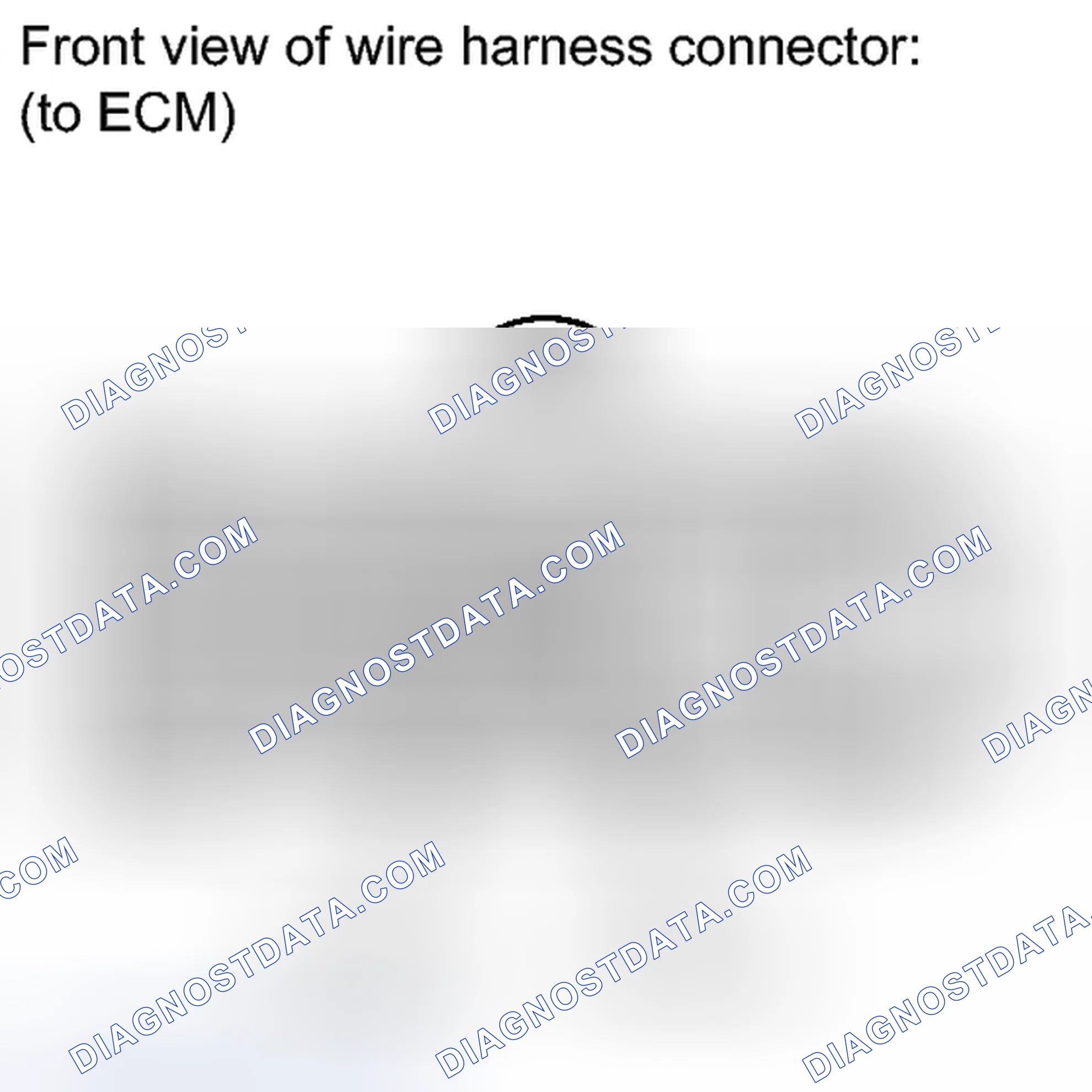 Scheme 1807