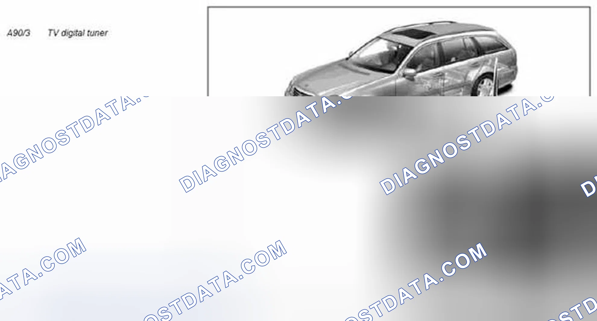 Scheme 255
