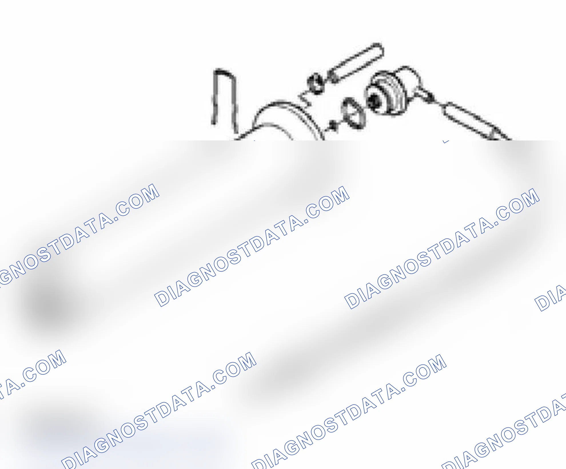 Scheme 521: Non Return Fuel Rail System Diagram