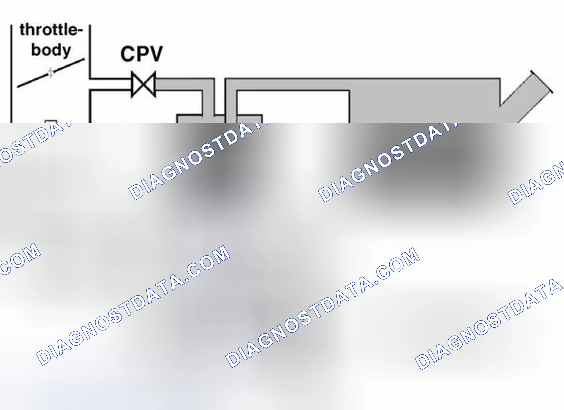 Scheme 357
