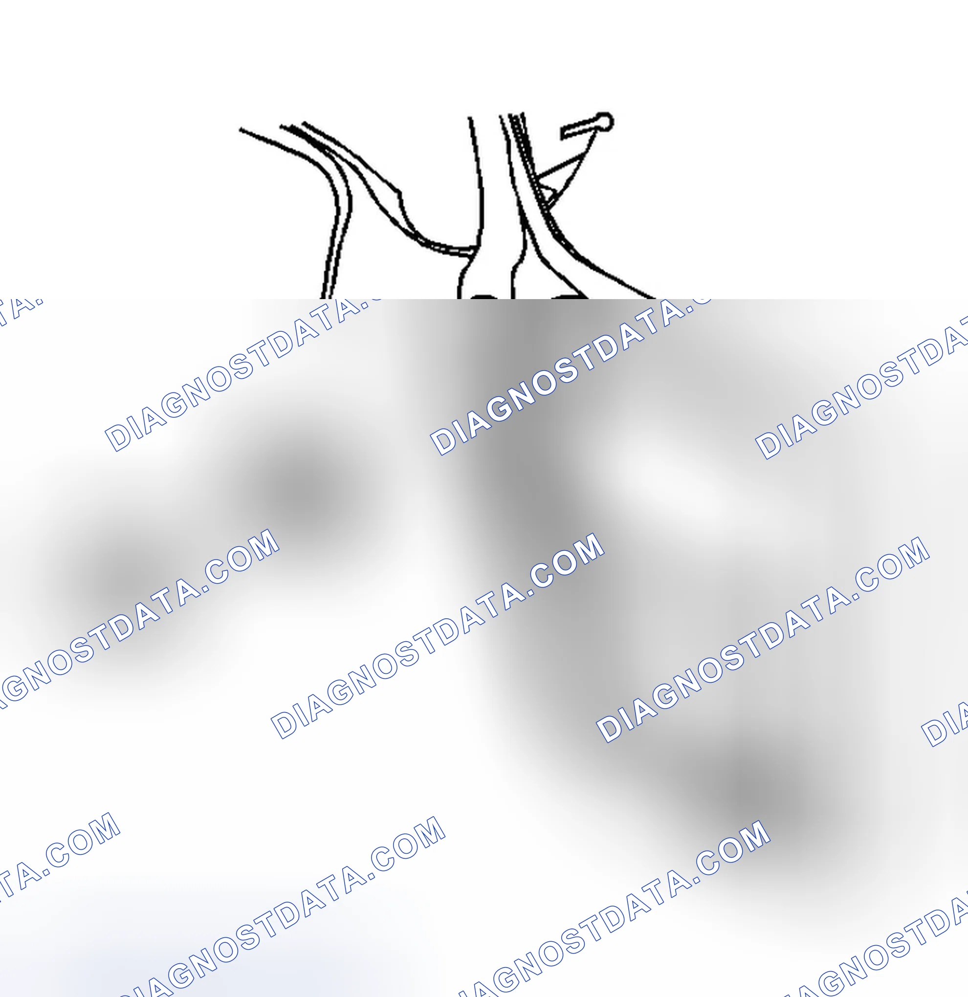 Scheme 12: Transfer Case Shift Control Switch