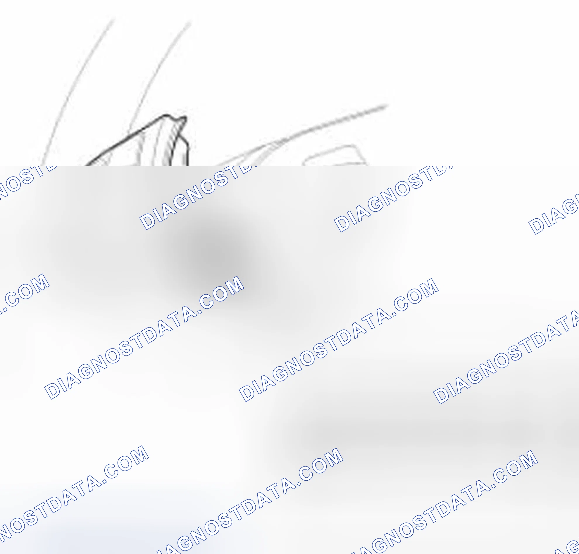 Scheme 48: Inspection
