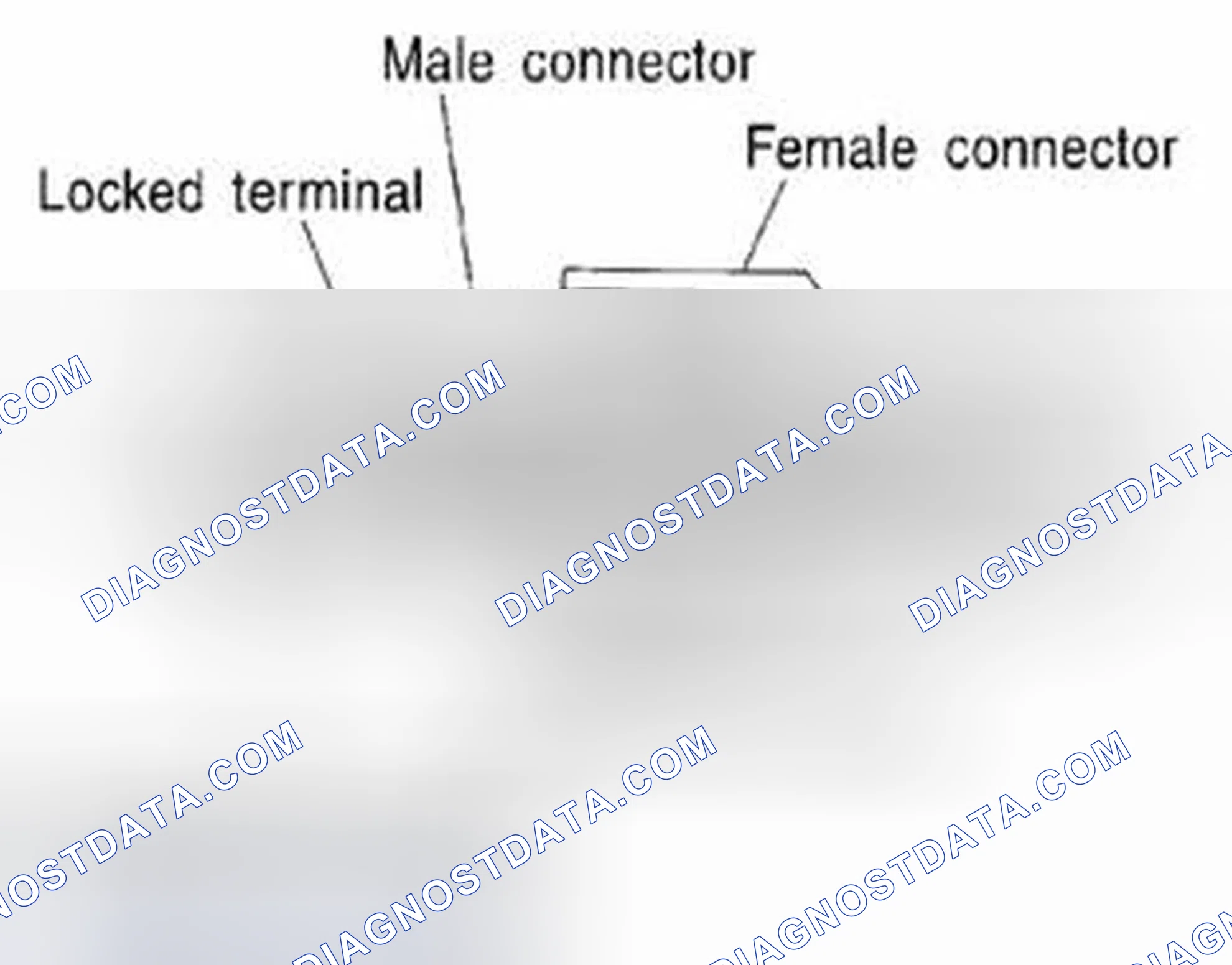 Scheme 14: Terminal Lock Inspection