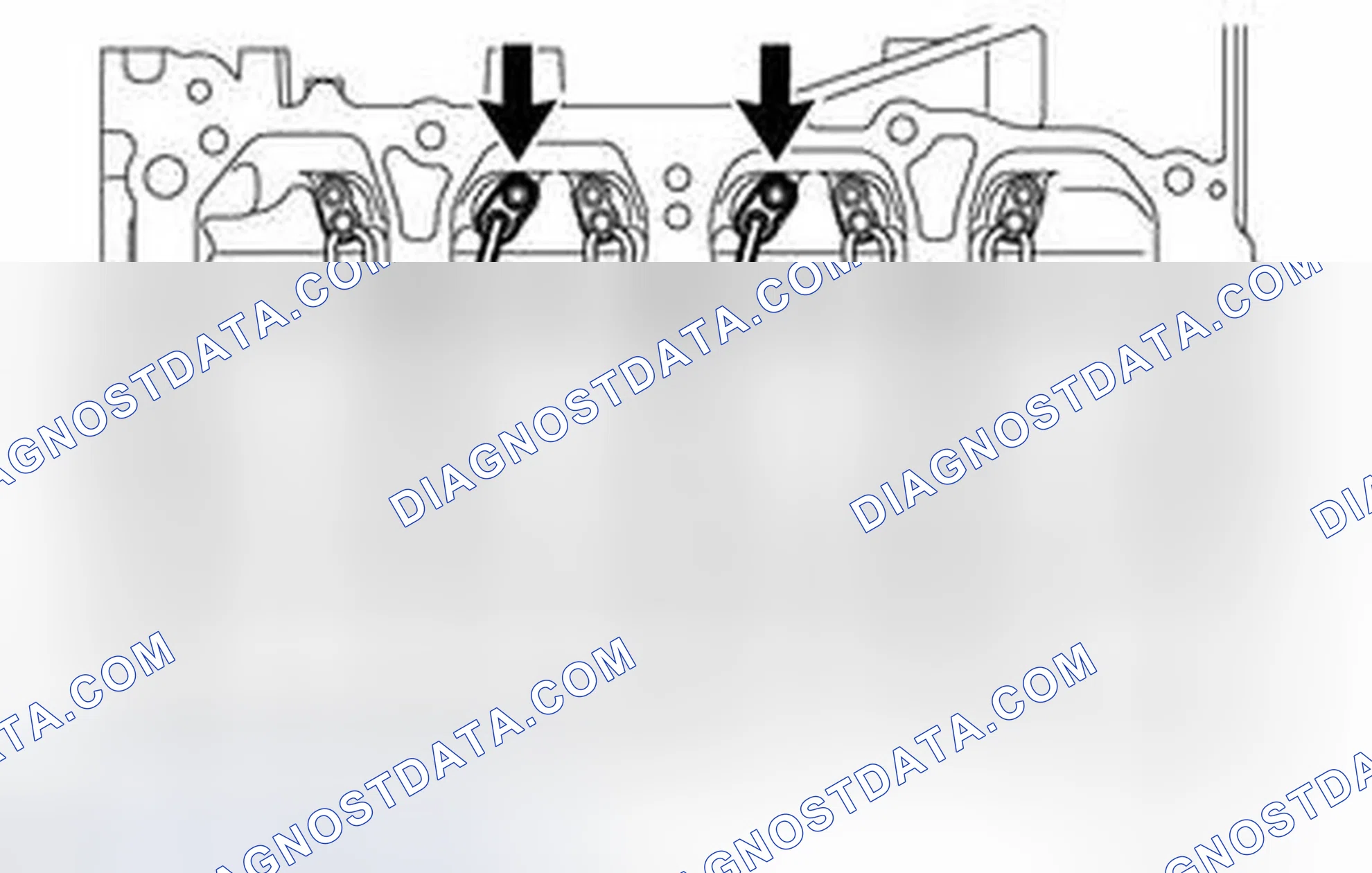 Scheme 304