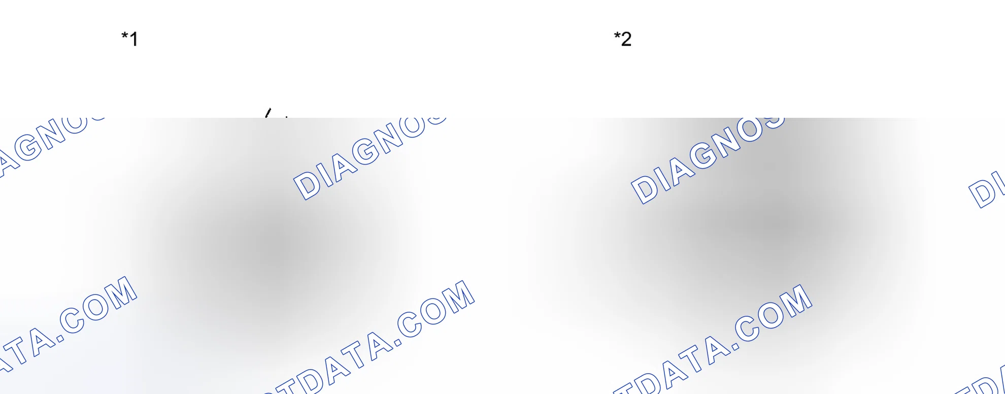Scheme 307