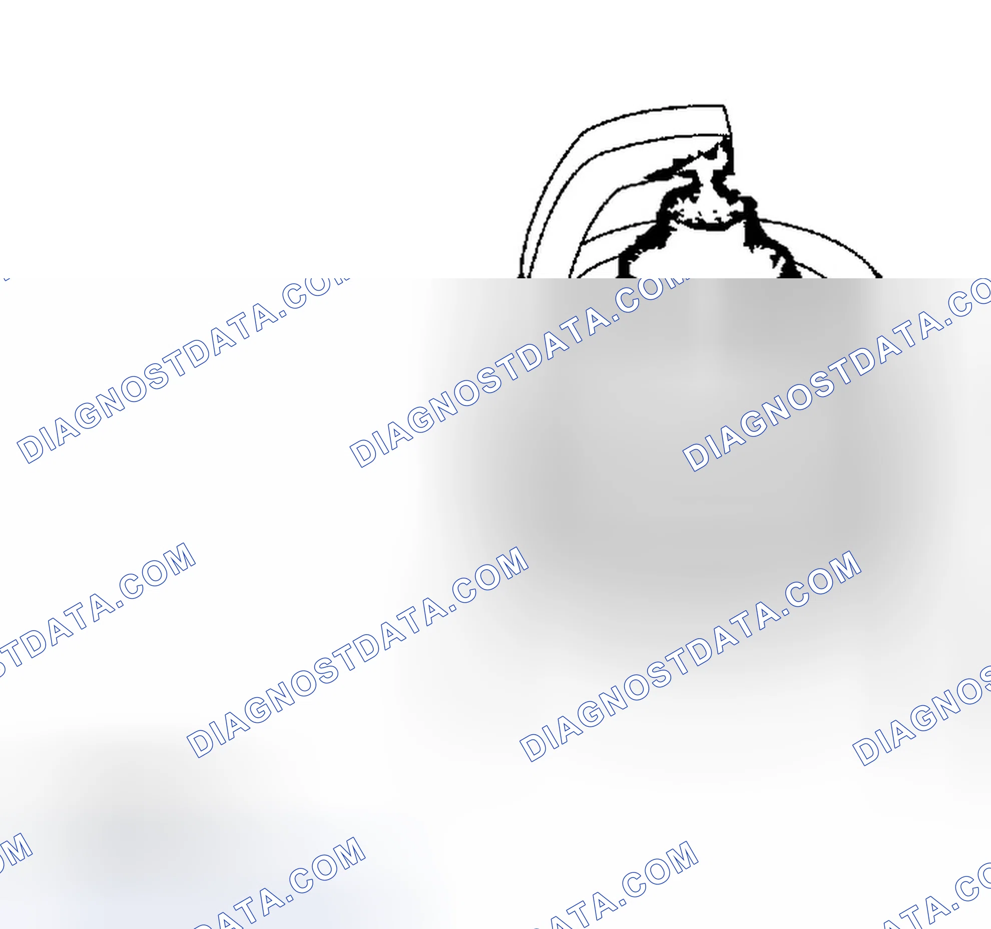 Scheme 303: Spark Plug Inspection