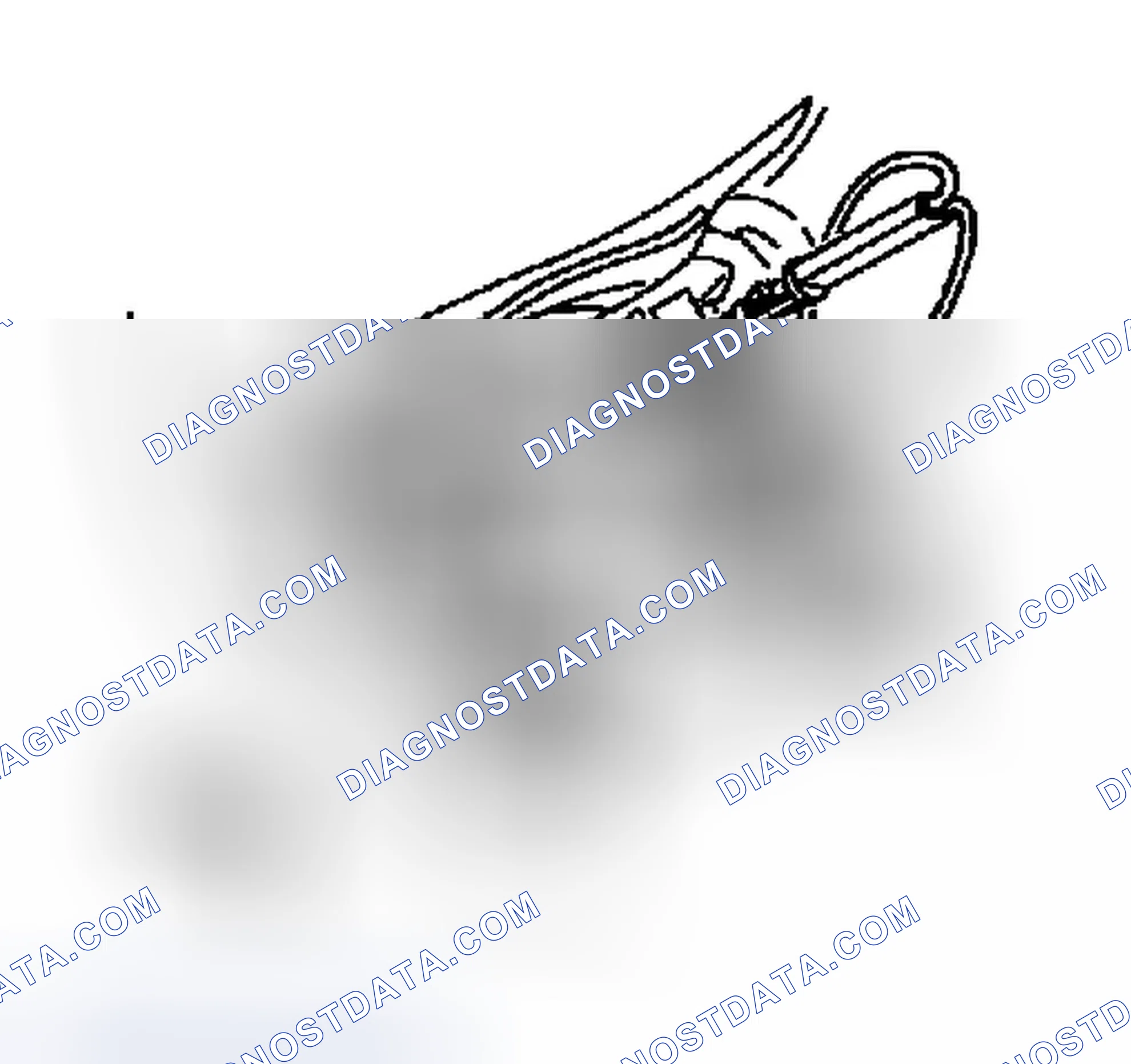 Scheme 8: Removal Procedure