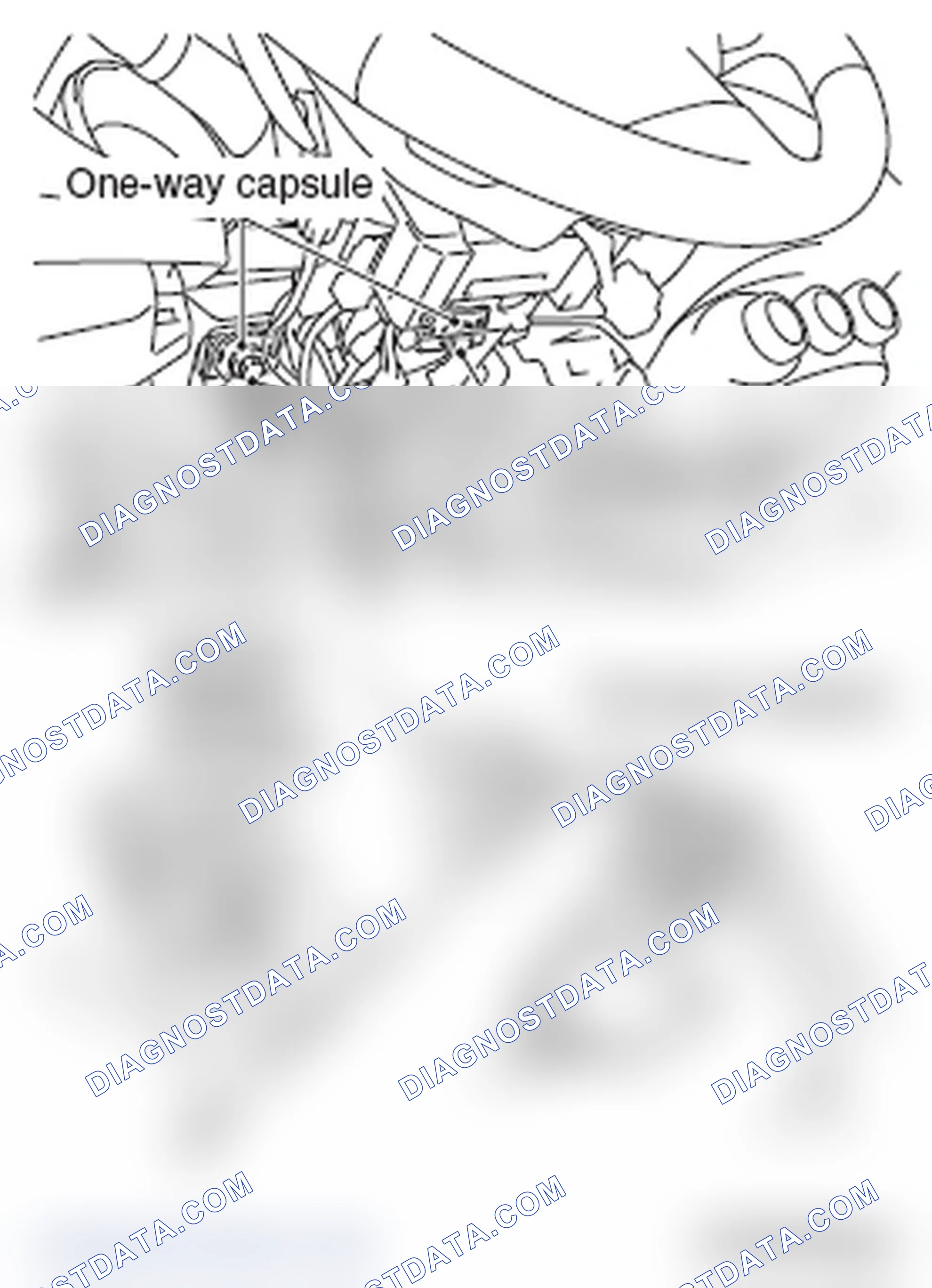 Scheme 50: Inspection procedure
