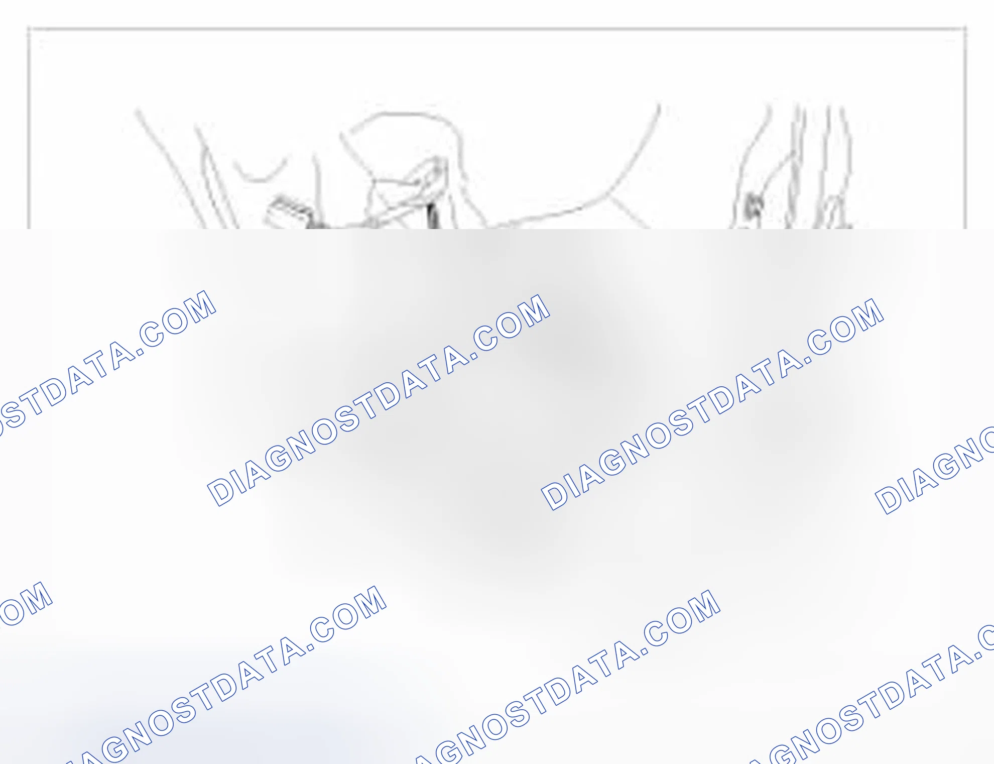 Scheme 17: Rear Speaker