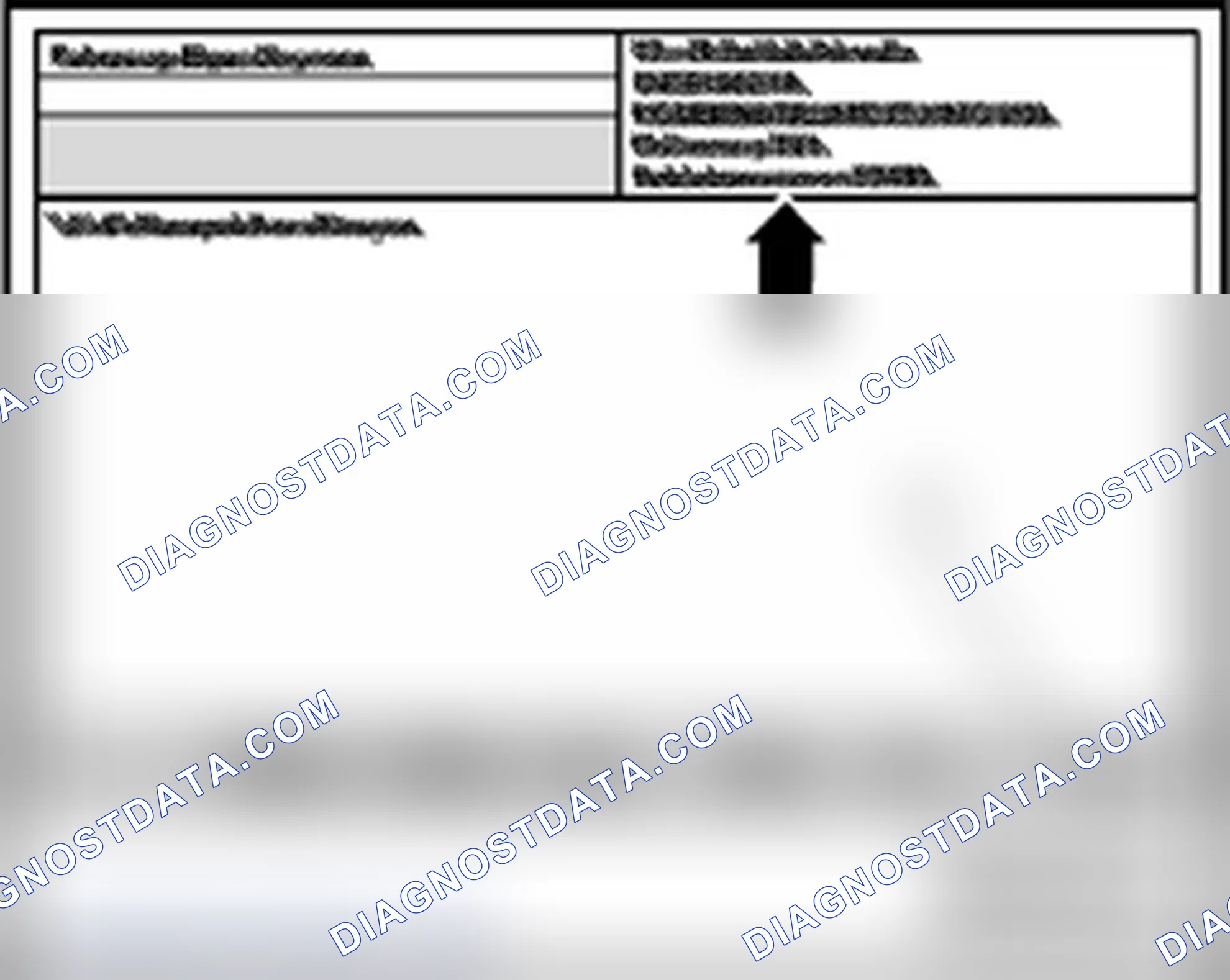 Scheme 337