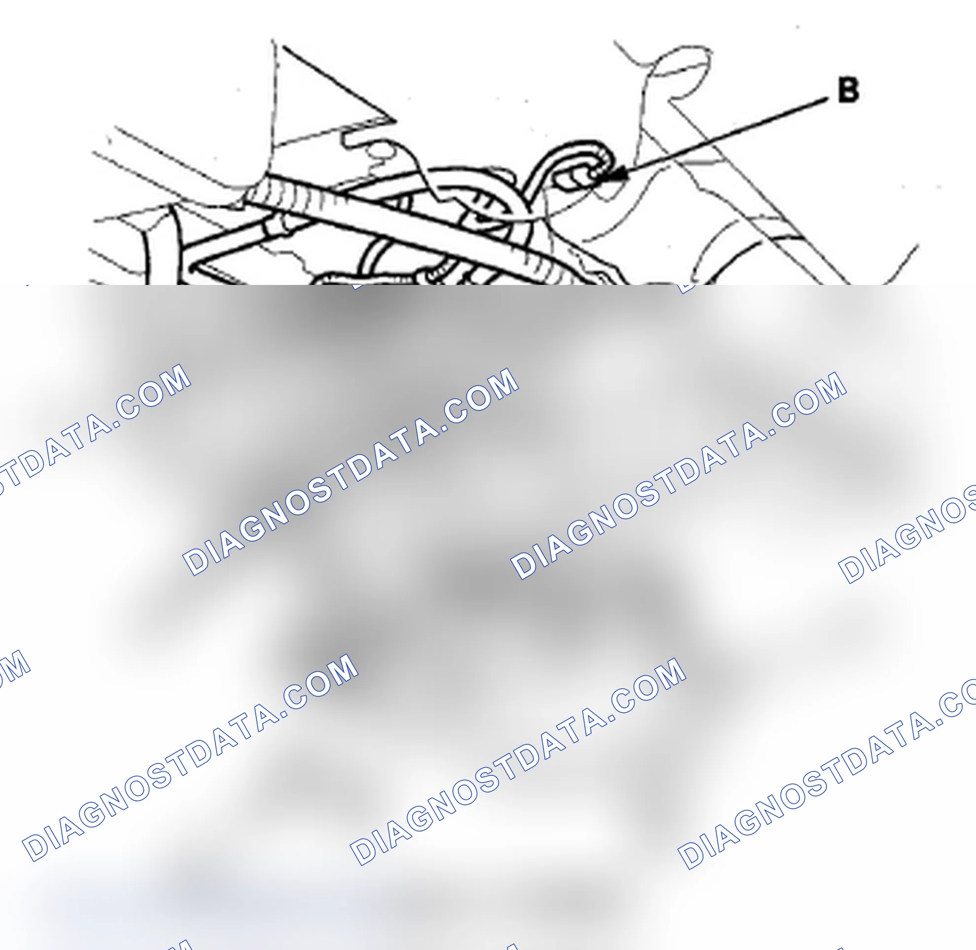 Scheme 55: EVAP Canister Replacement