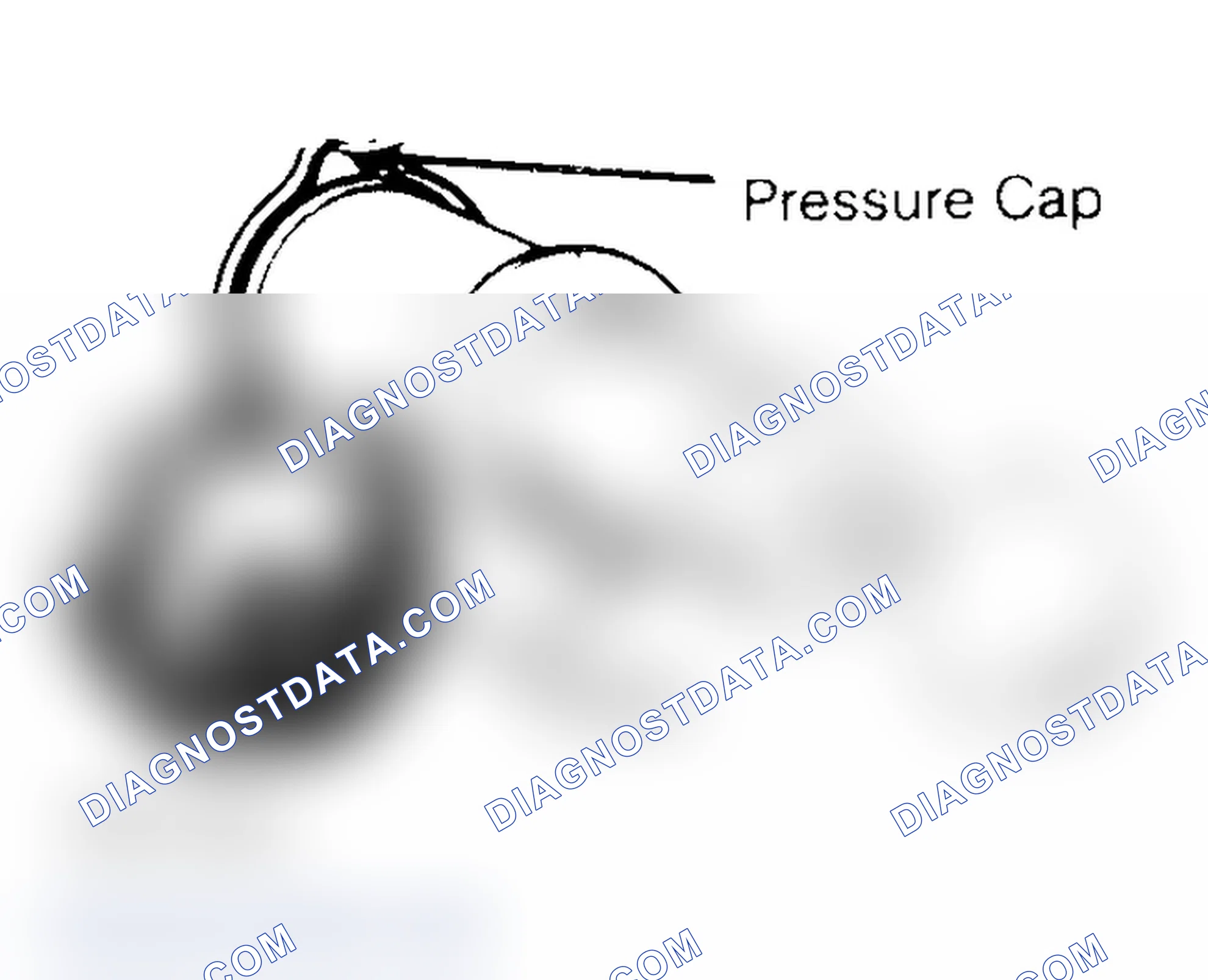 Scheme 2: Pressure Testing Radiator Cap