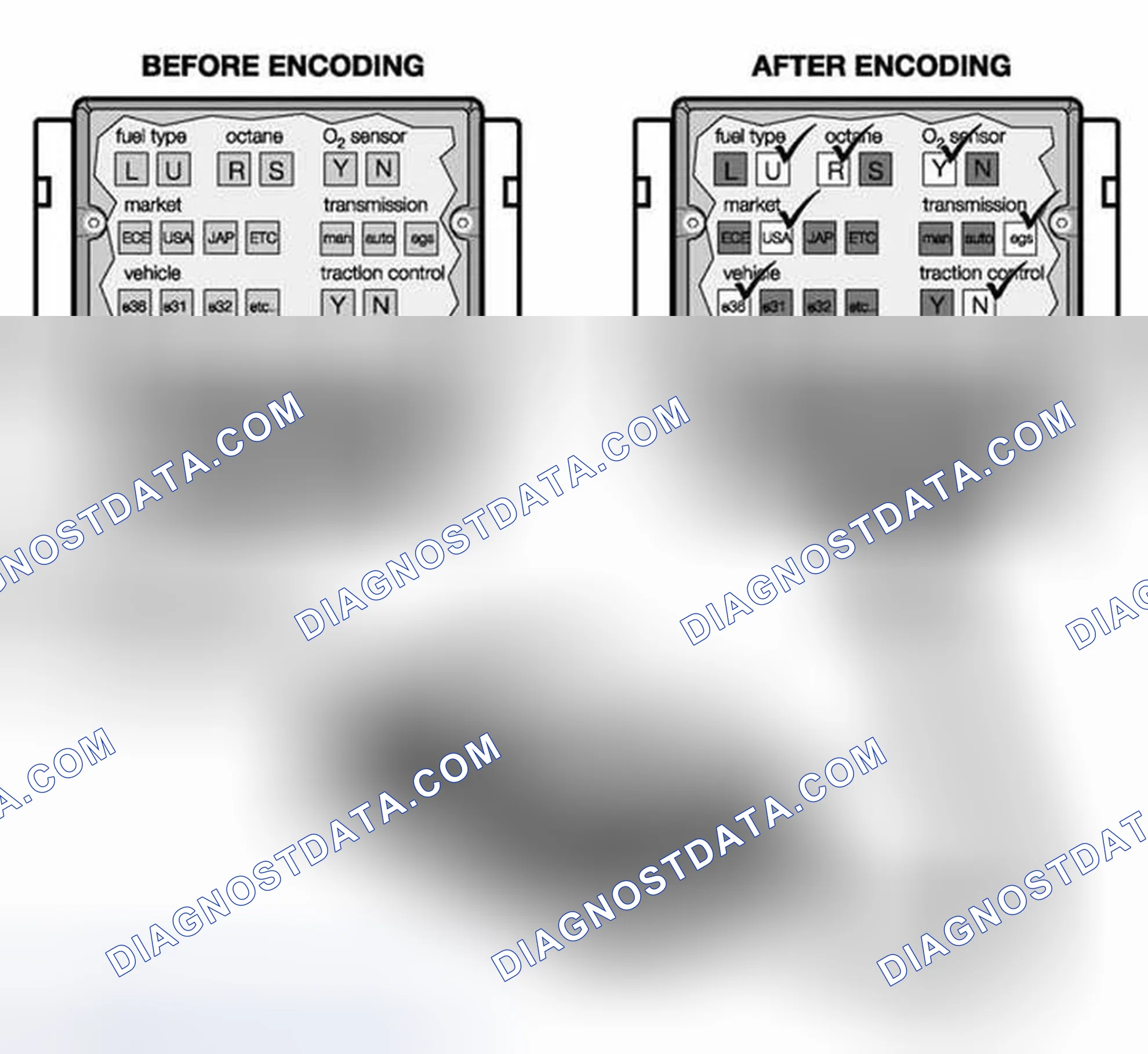 Scheme 147: Coding
