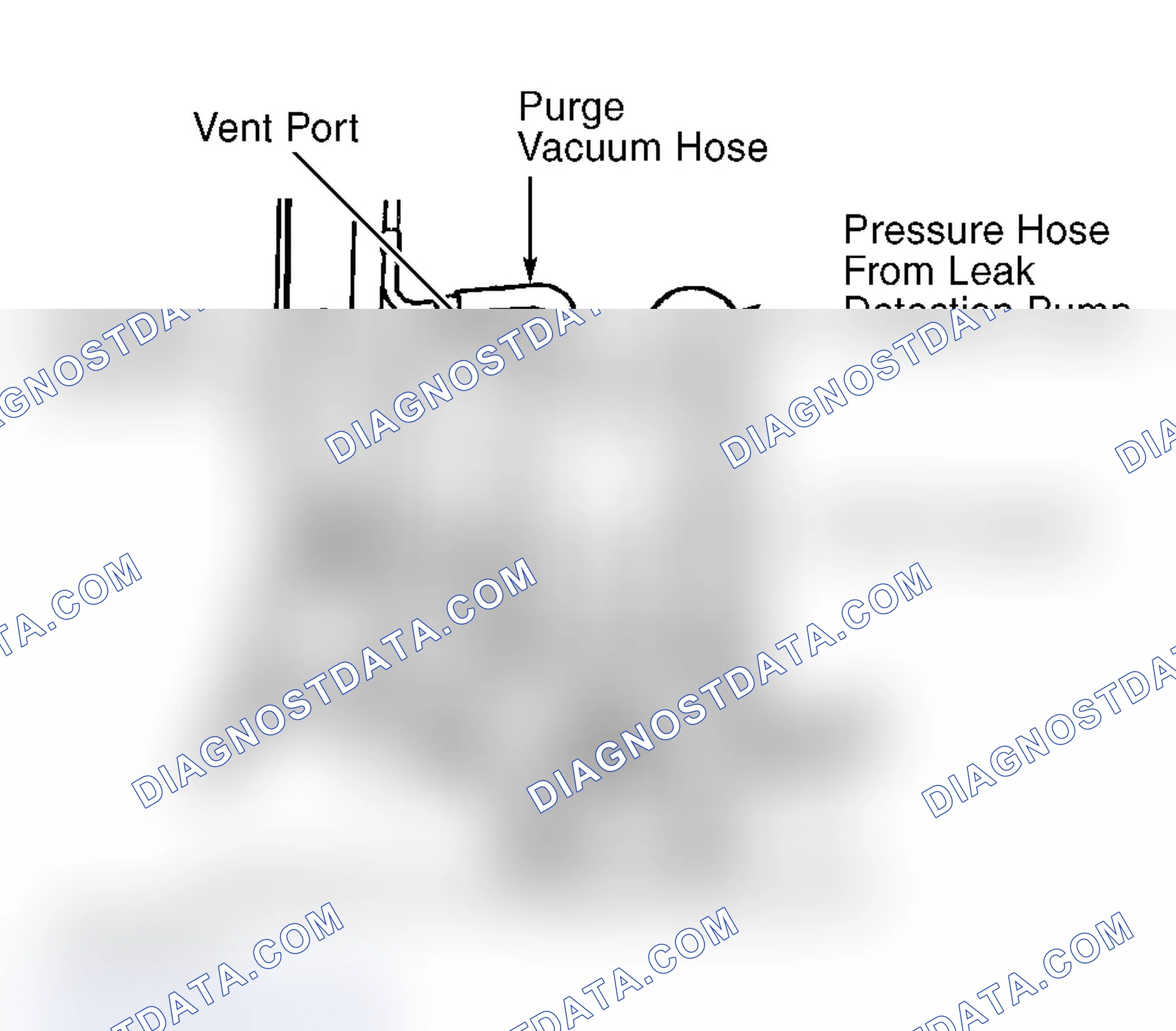 Scheme 150: Locating EVAP Canister & Identifying Hoses