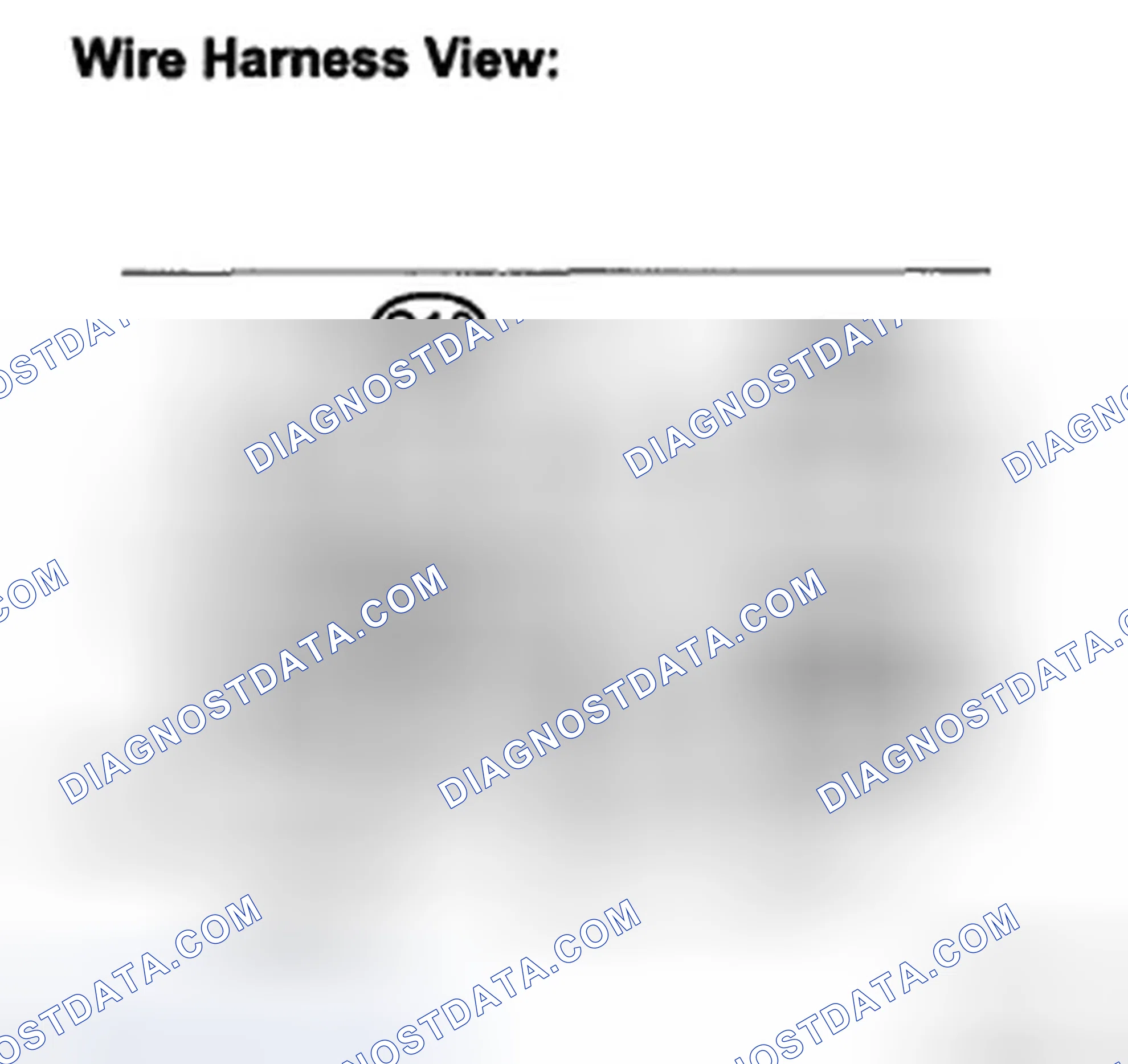 Scheme 48: INSPECTION PROCEDURE