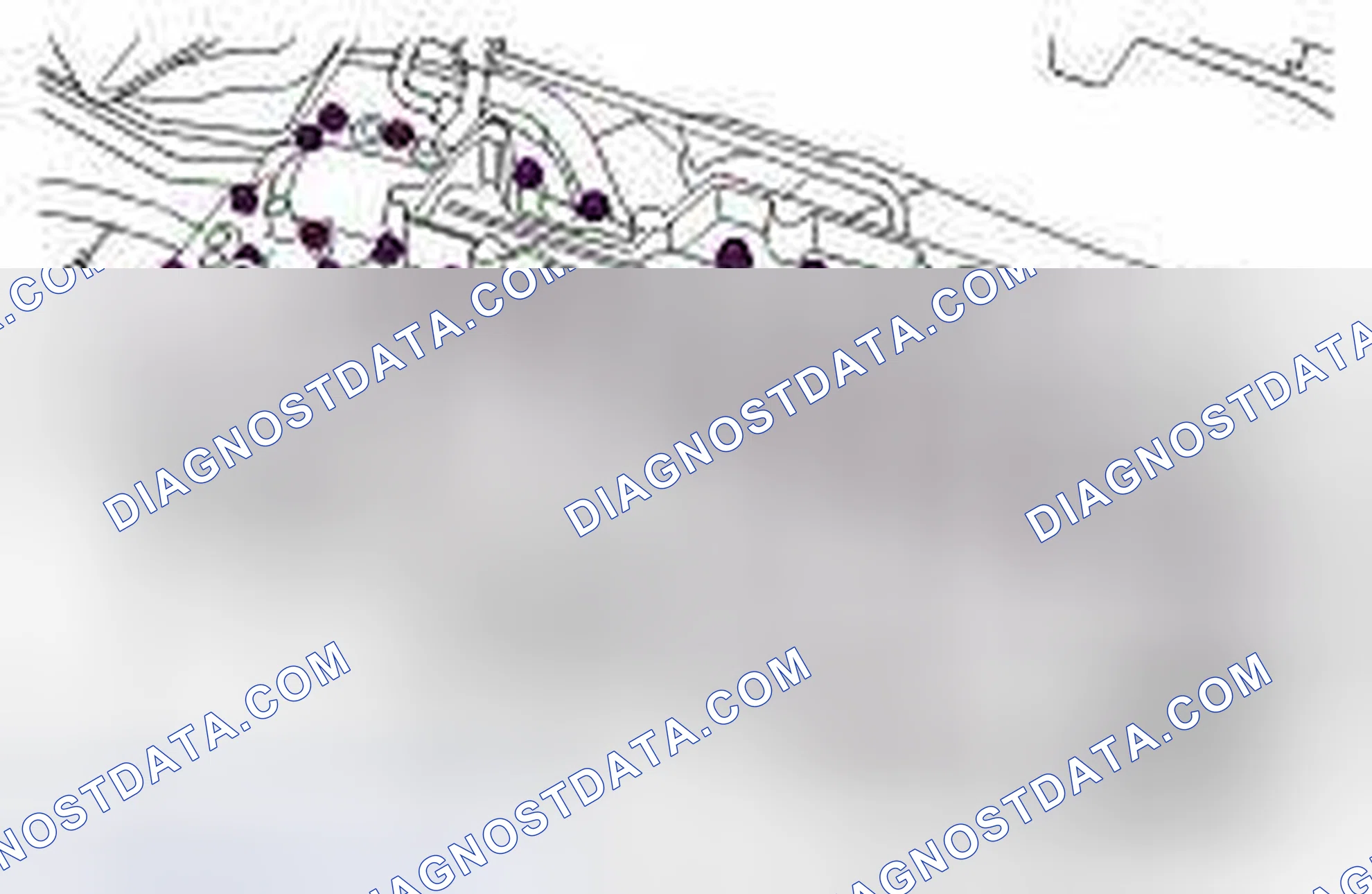 Scheme 13