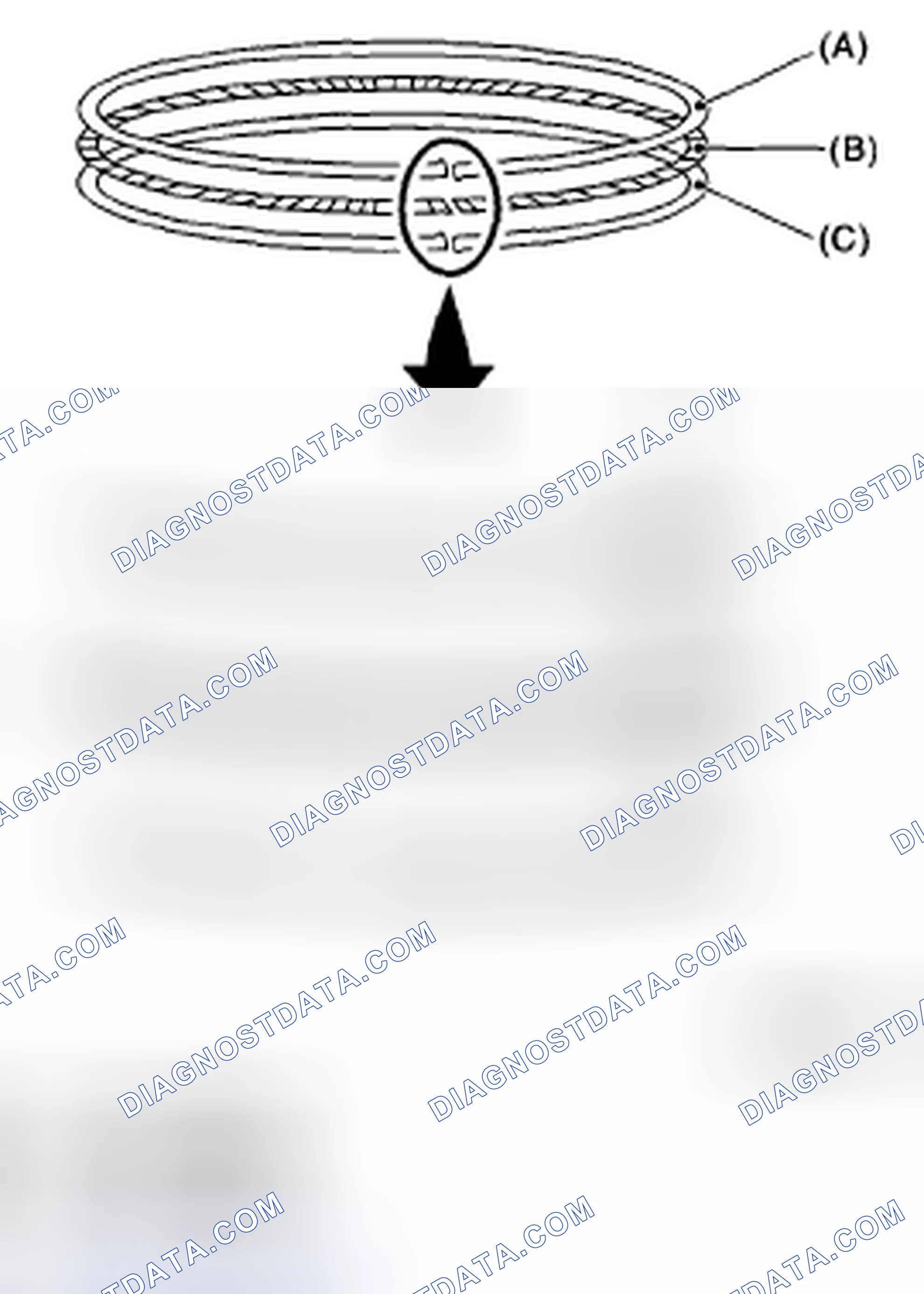 Scheme 216: PISTON RING